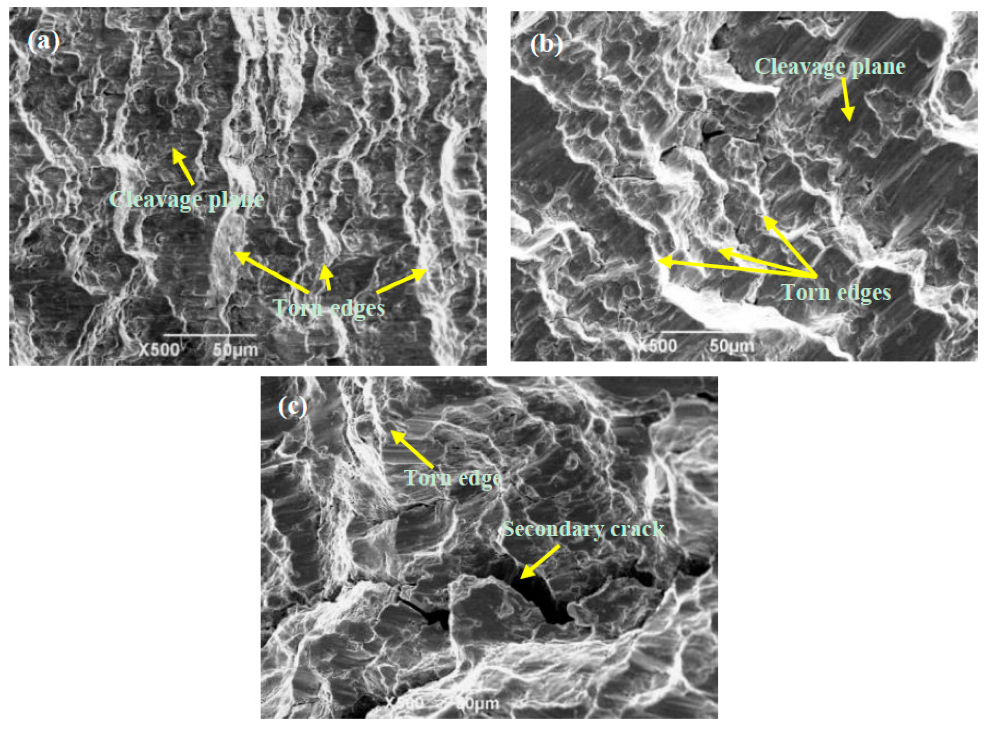 Coatings 12 01222 g012