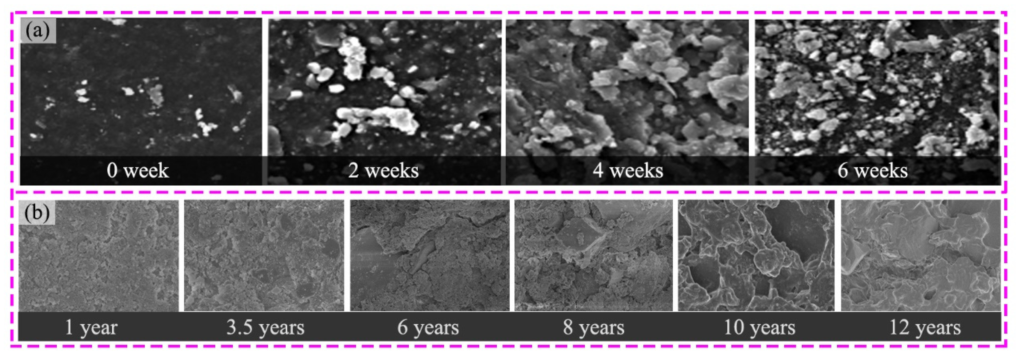 Coatings 12 01224 g008 Coatings 12 01224 g008