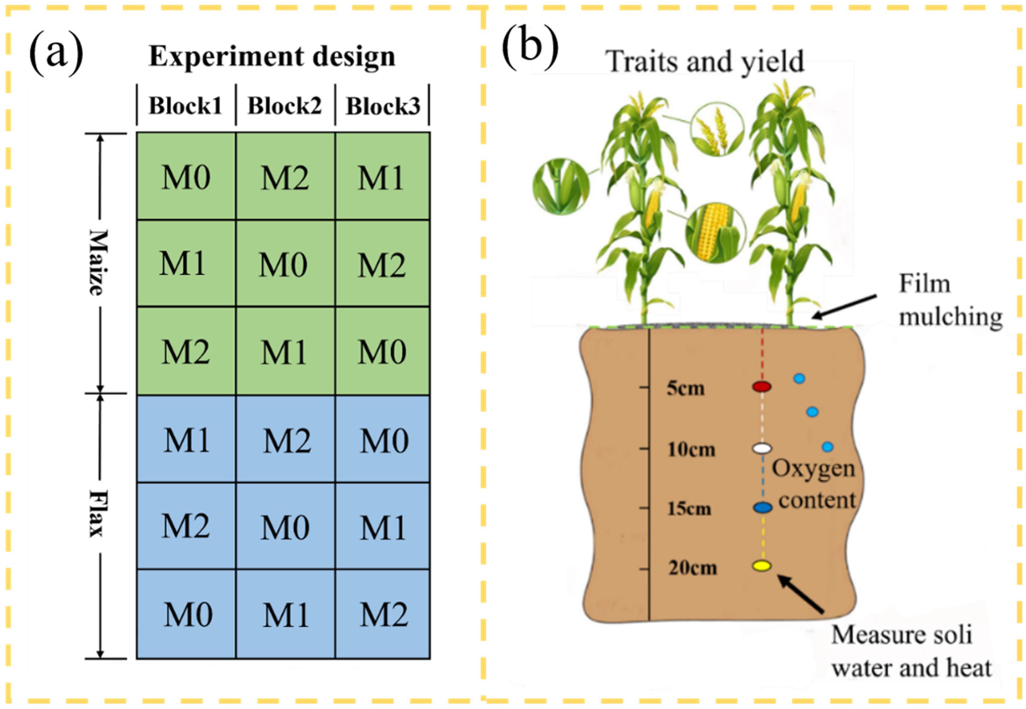 Coatings 12 01225 g003 550