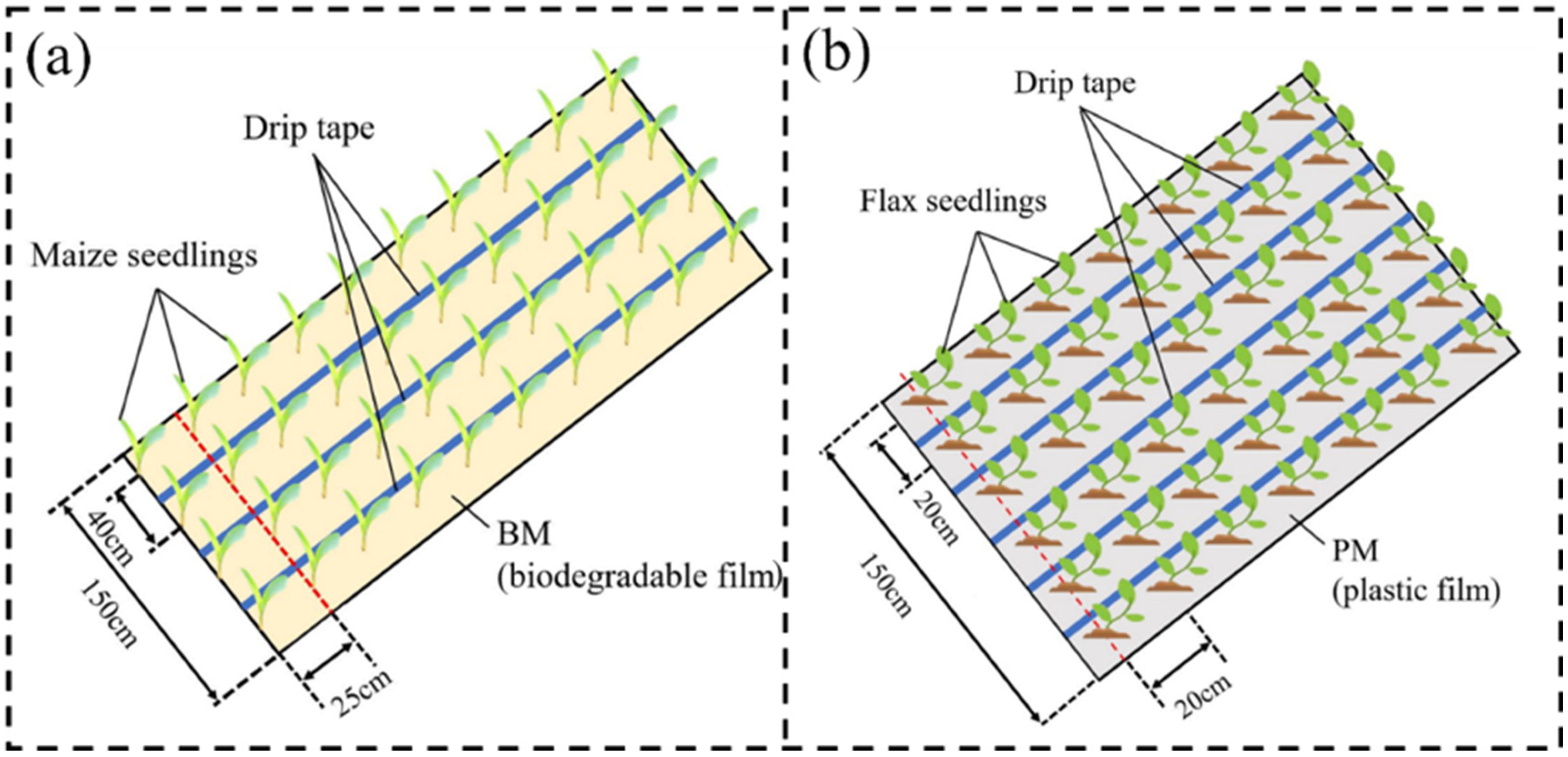 Coatings 12 01225 g004 550