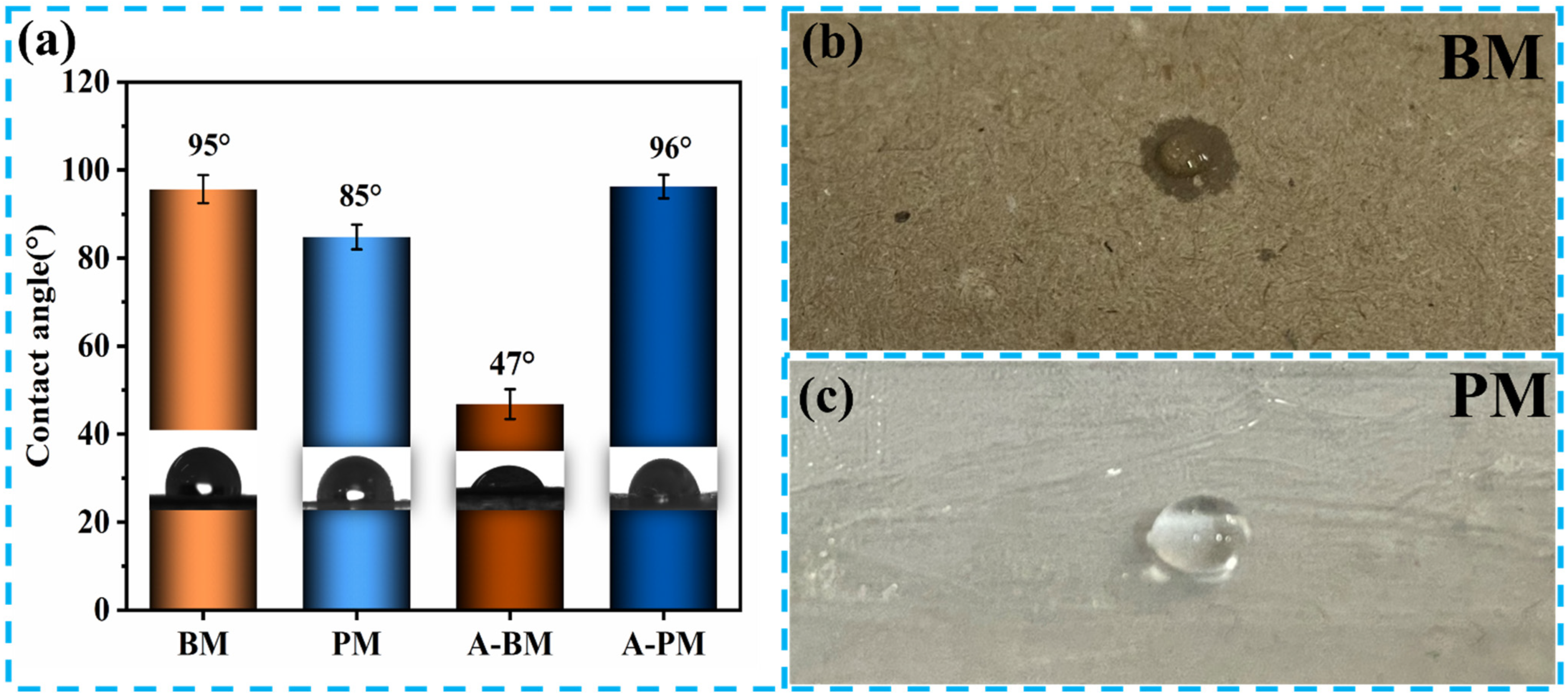 Coatings 12 01225 g007 550
