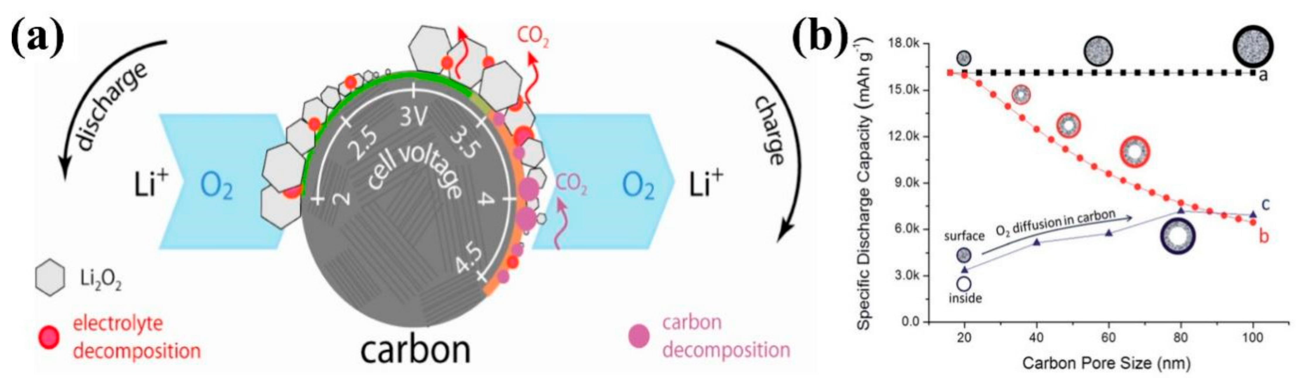 Coatings 12 01227 g002
