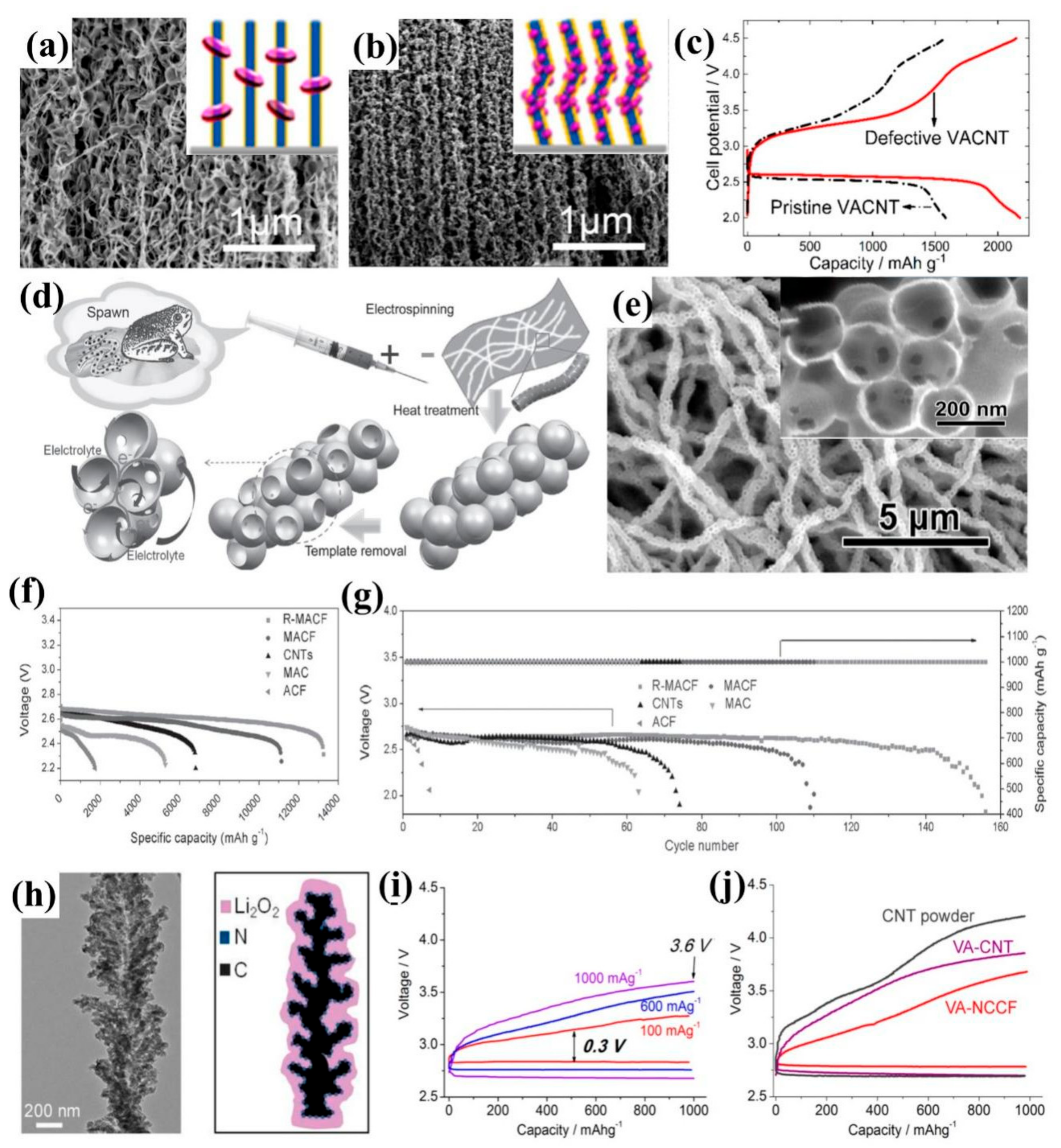 Coatings 12 01227 g004