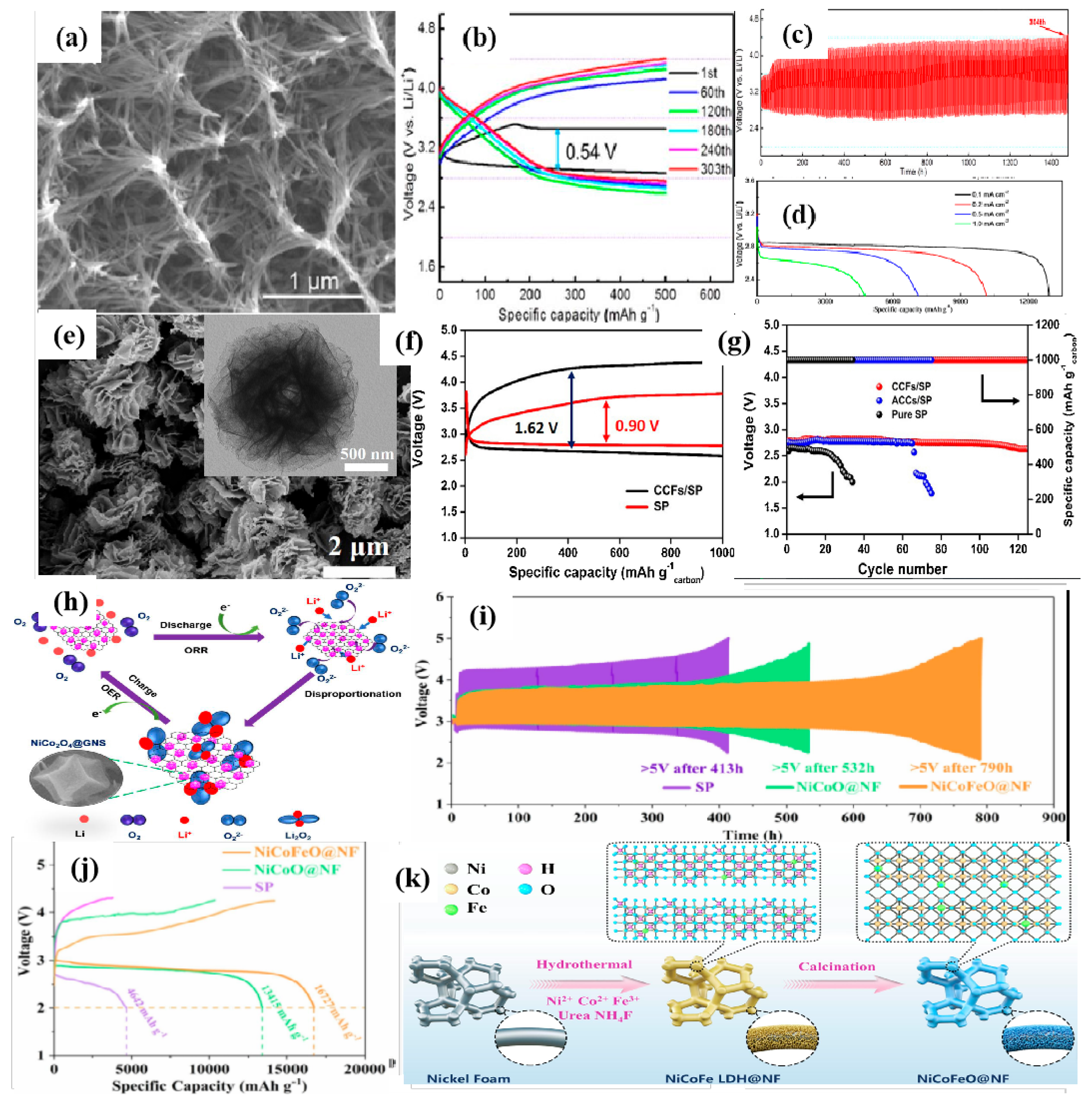 Coatings 12 01227 g011