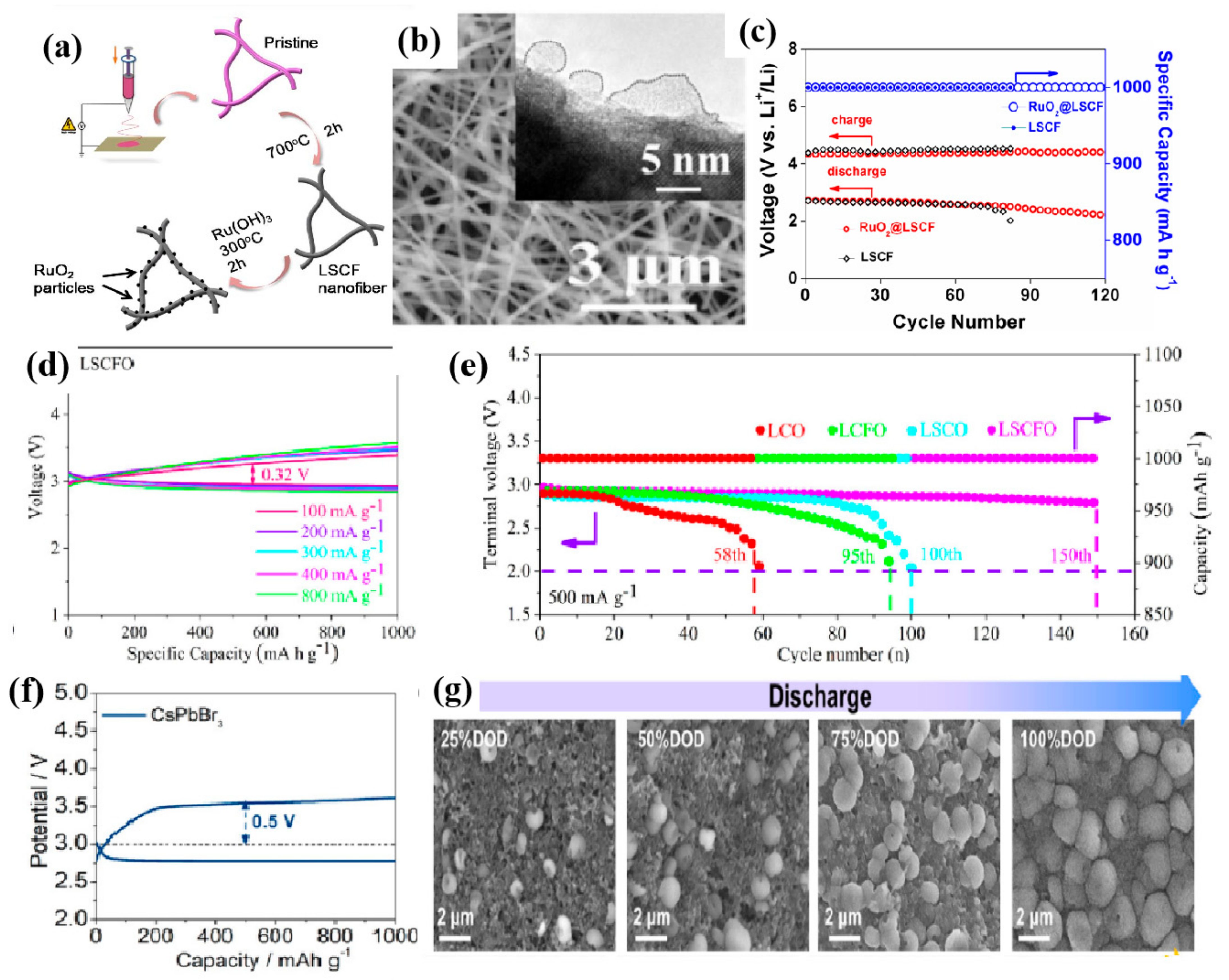 Coatings 12 01227 g012