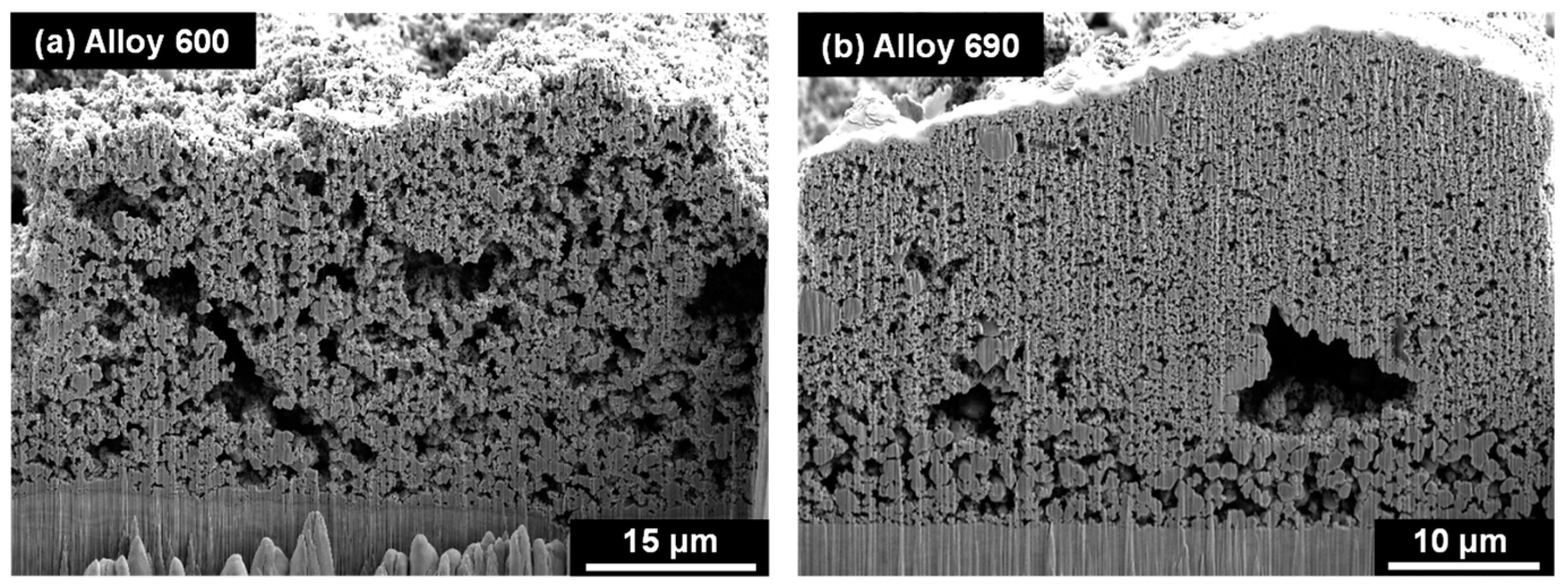 Coatings 12 01231 g010 Coatings 12 01231 g010