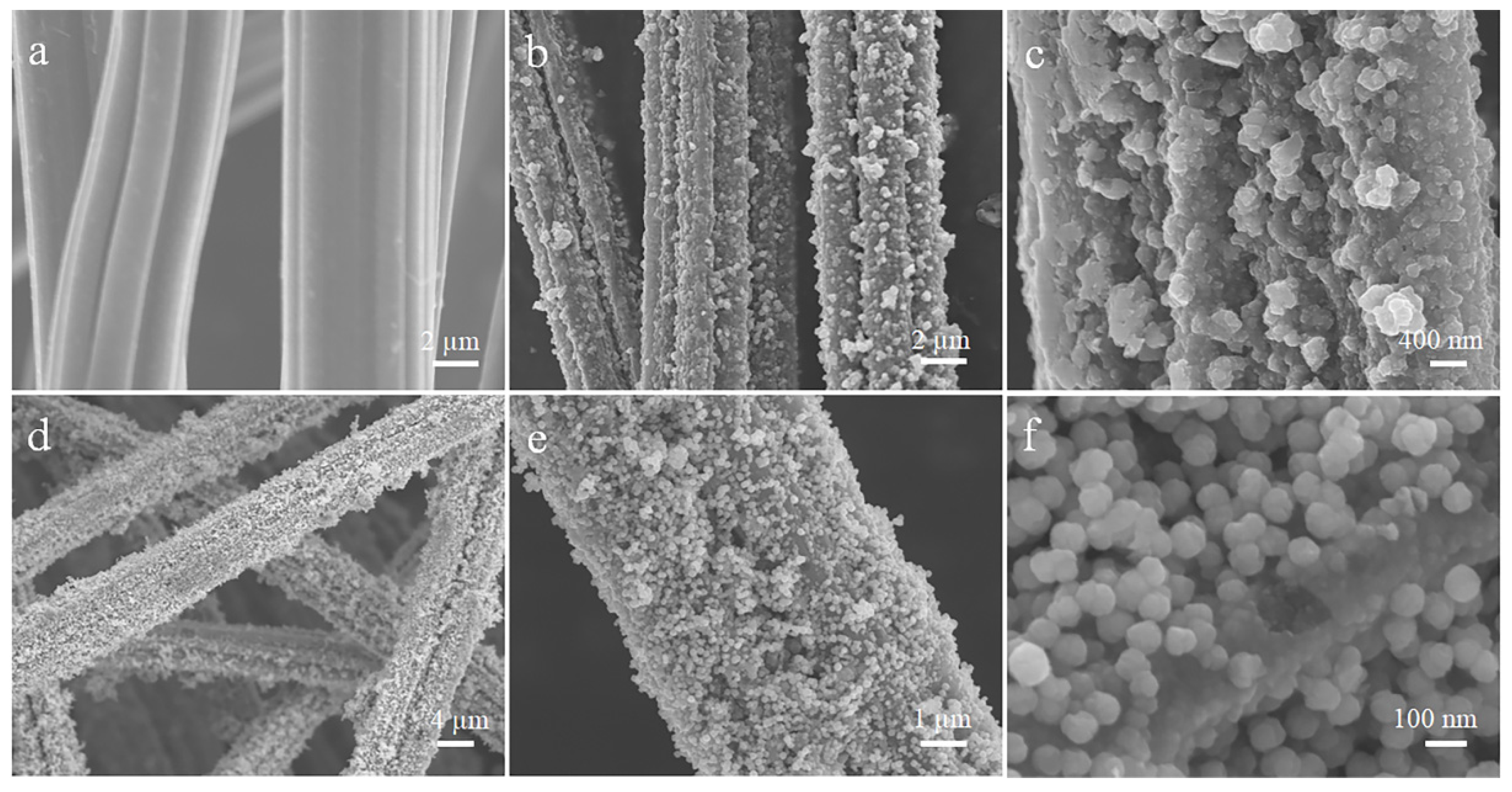 Coatings 12 01235 g002