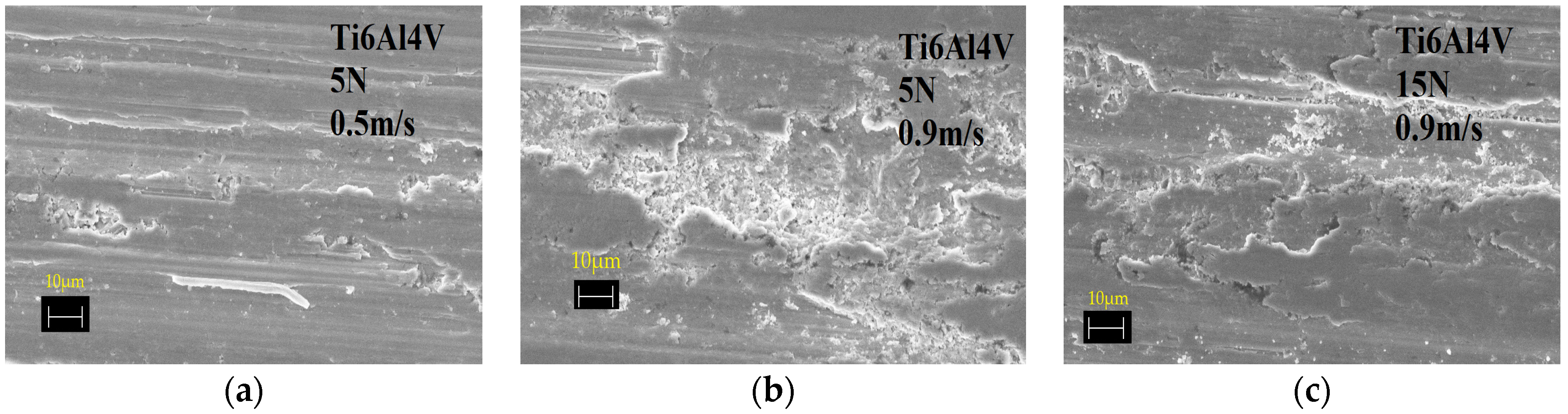 Coatings 12 01238 g013