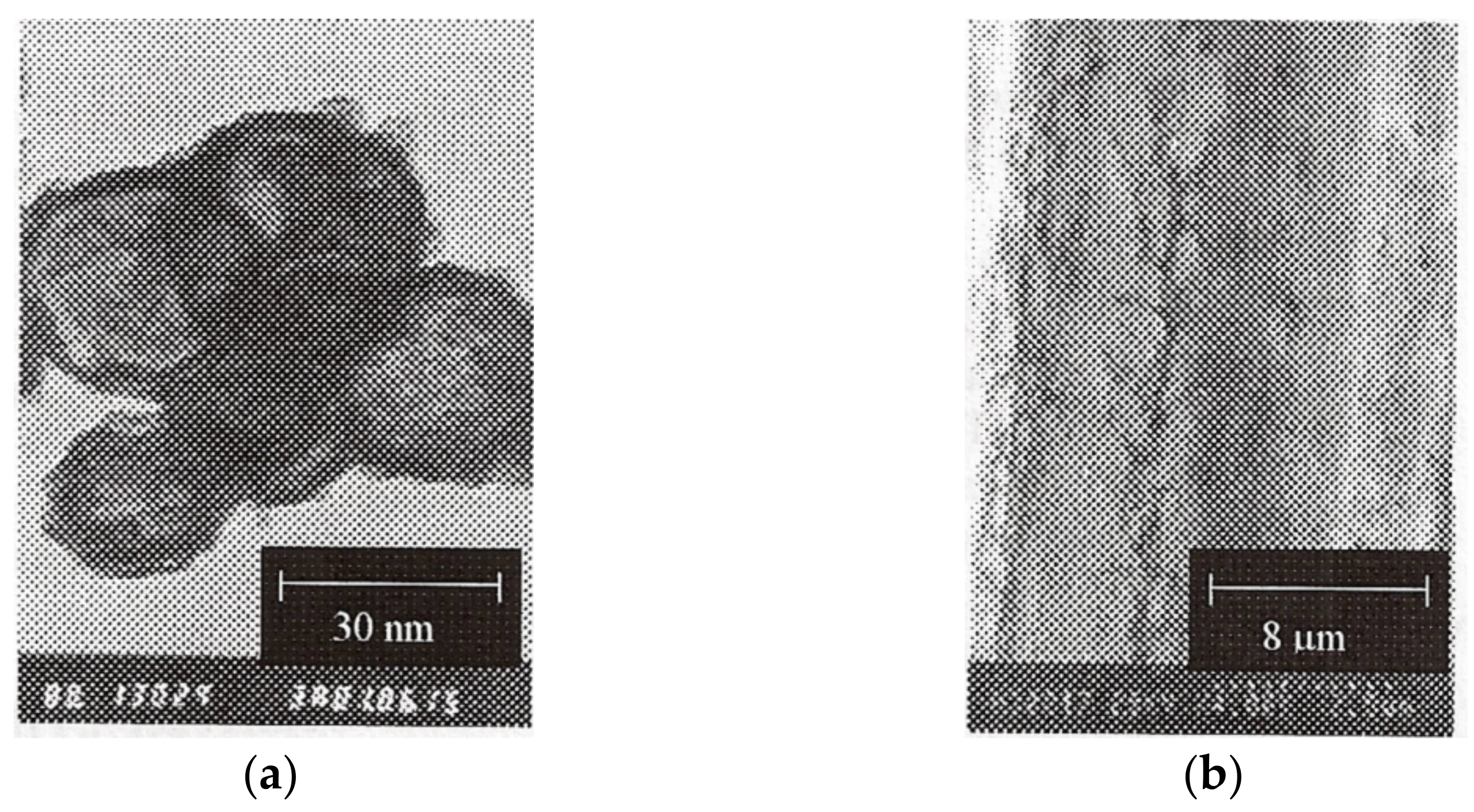 Coatings 12 01244 g005