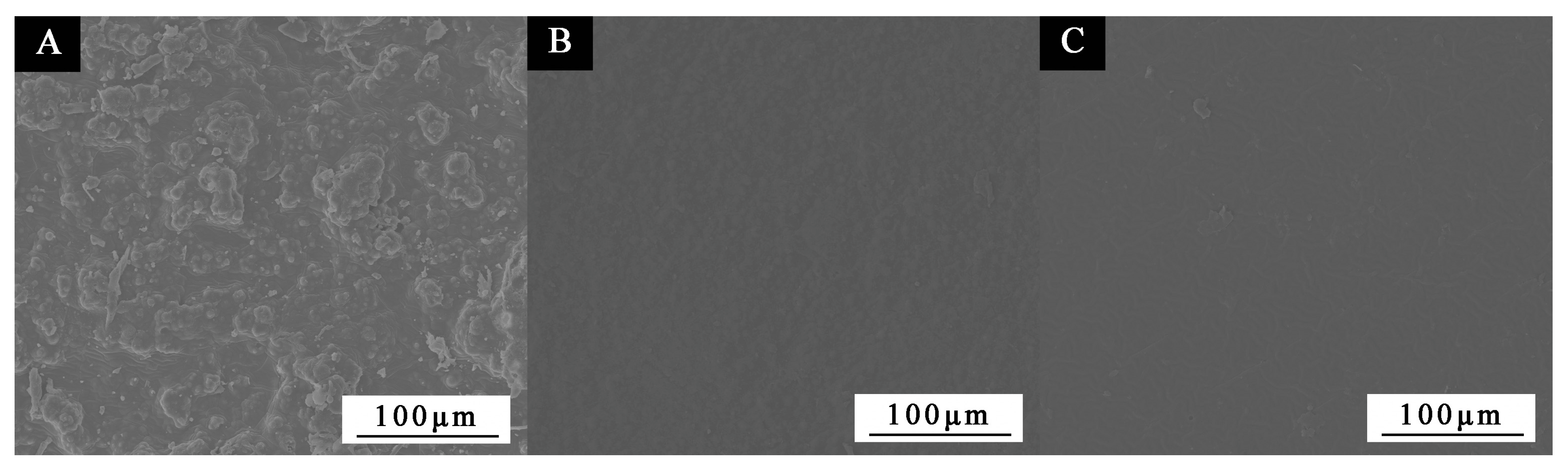 Coatings 12 01246 g003