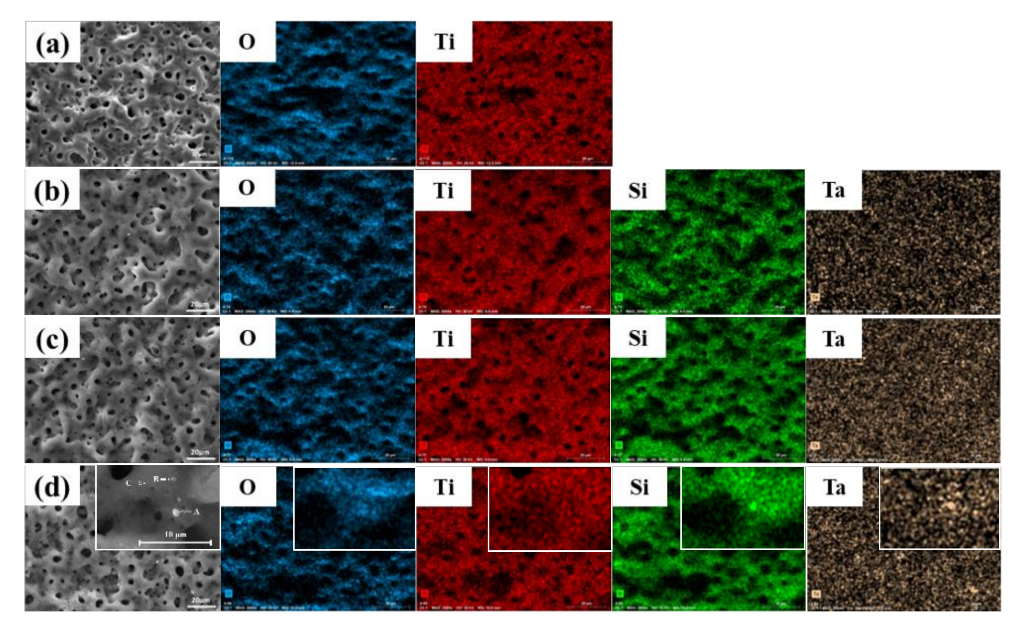 Coatings 12 01247 g004
