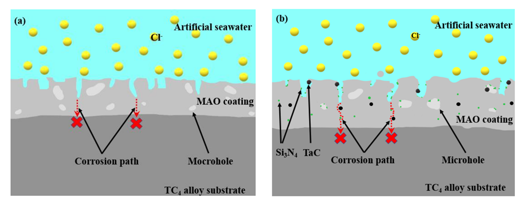 Coatings 12 01247 g011