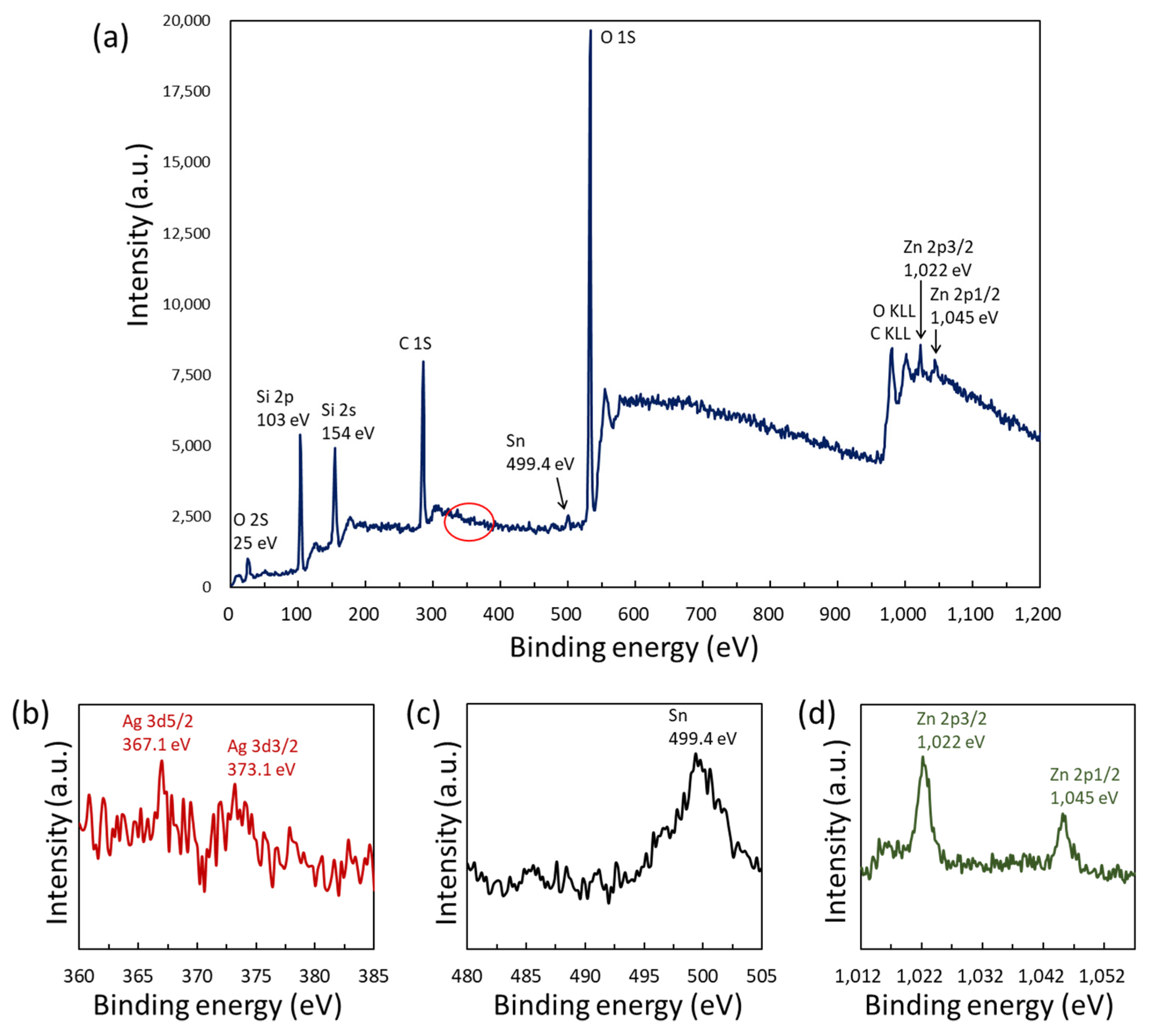 Coatings 12 01249 g003