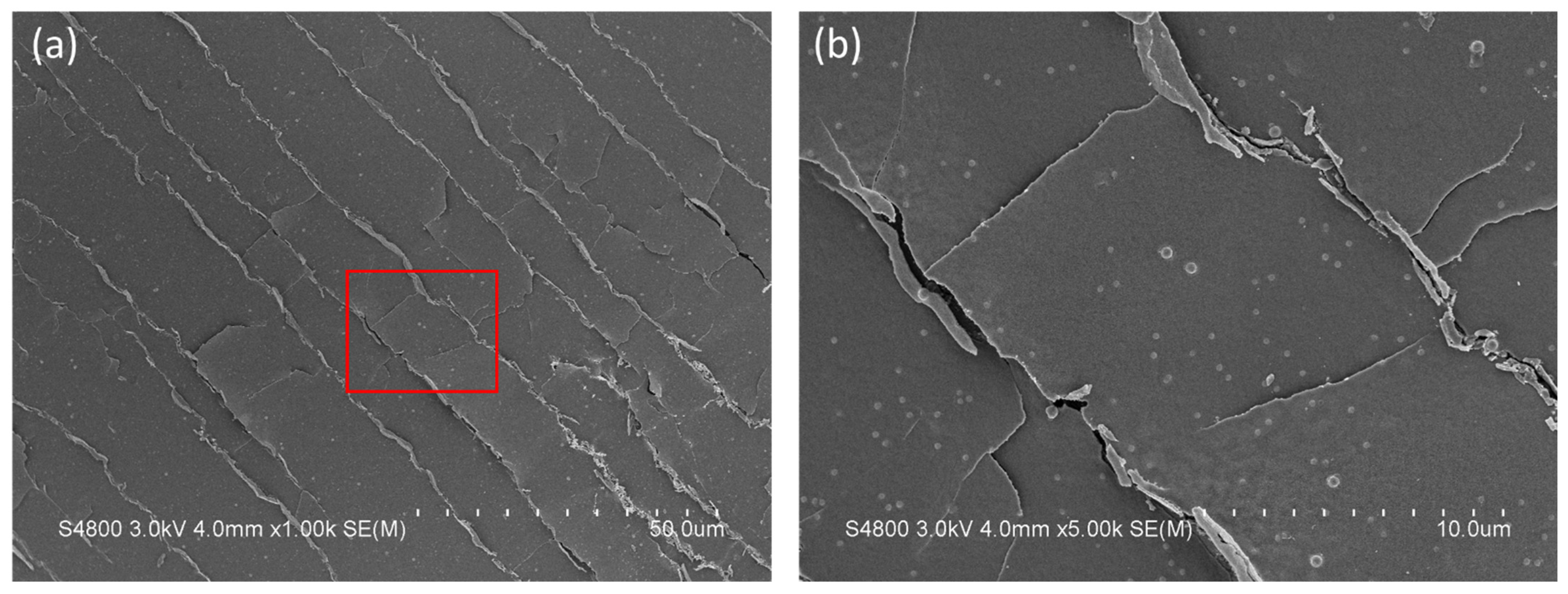 Coatings 12 01249 g010