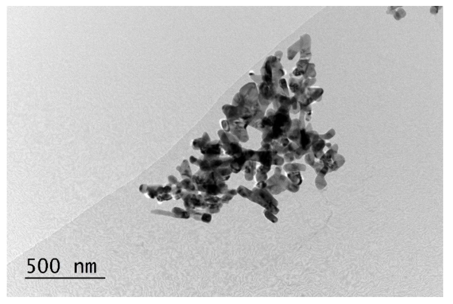 Coatings 12 01254 g001