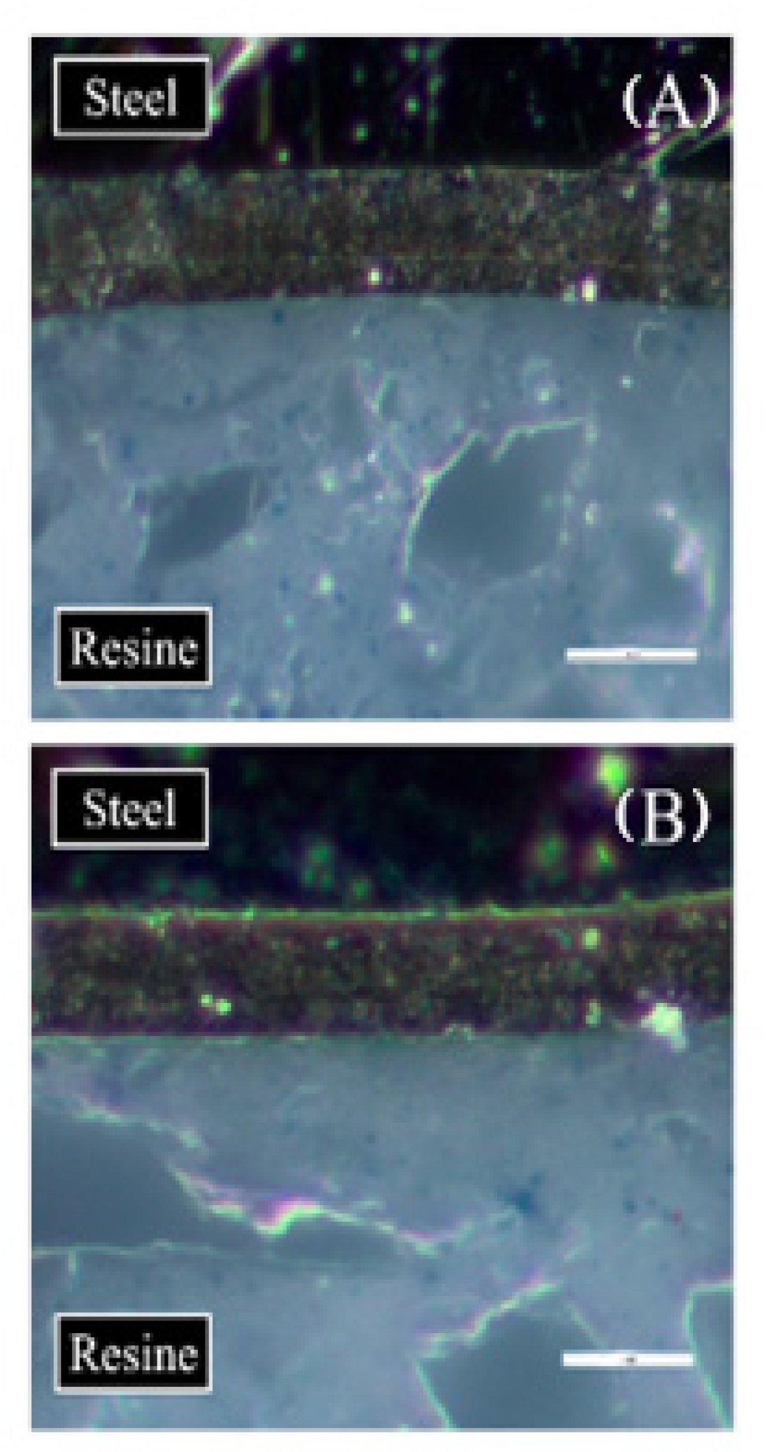 Coatings 12 01254 g005