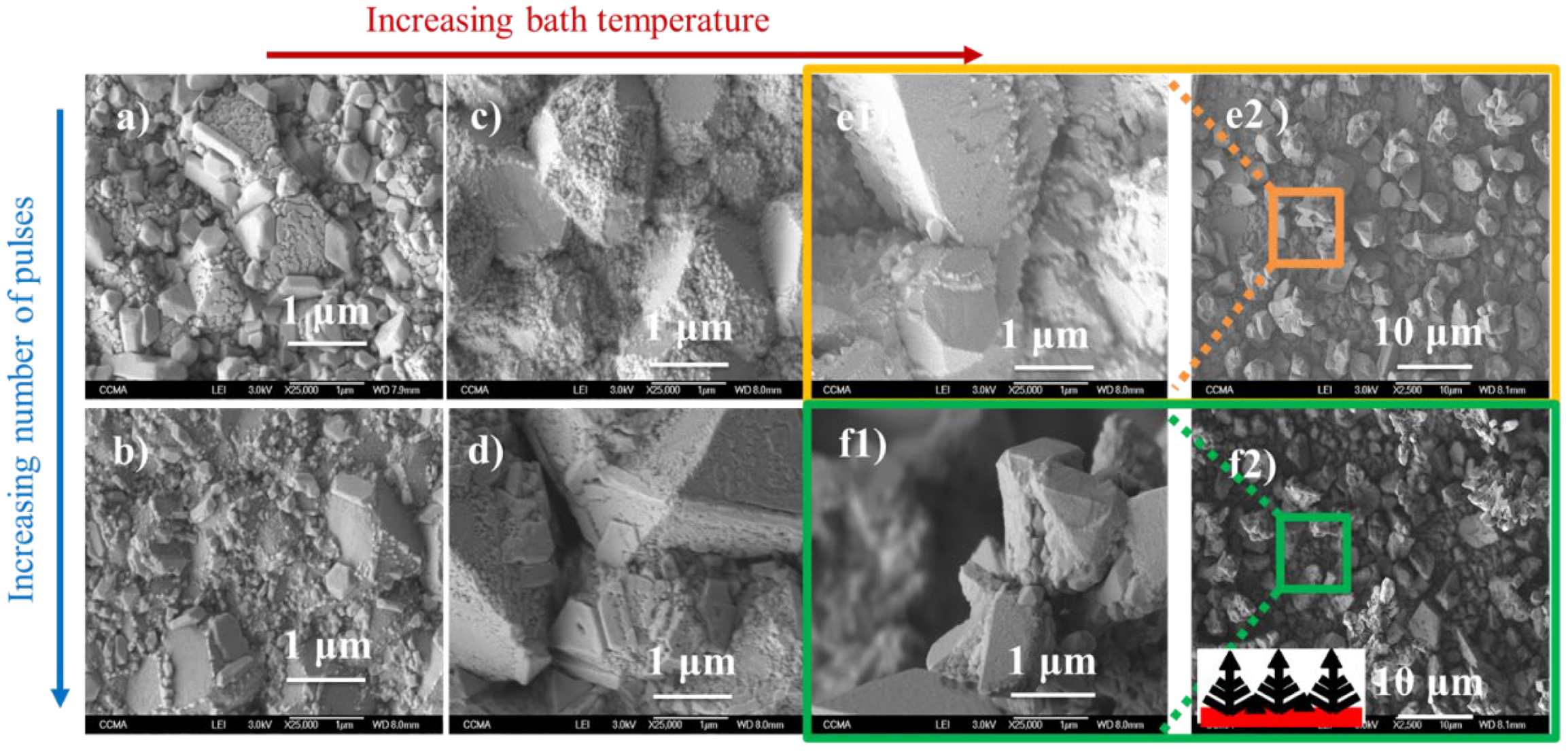 Coatings 12 01260 g008 550
