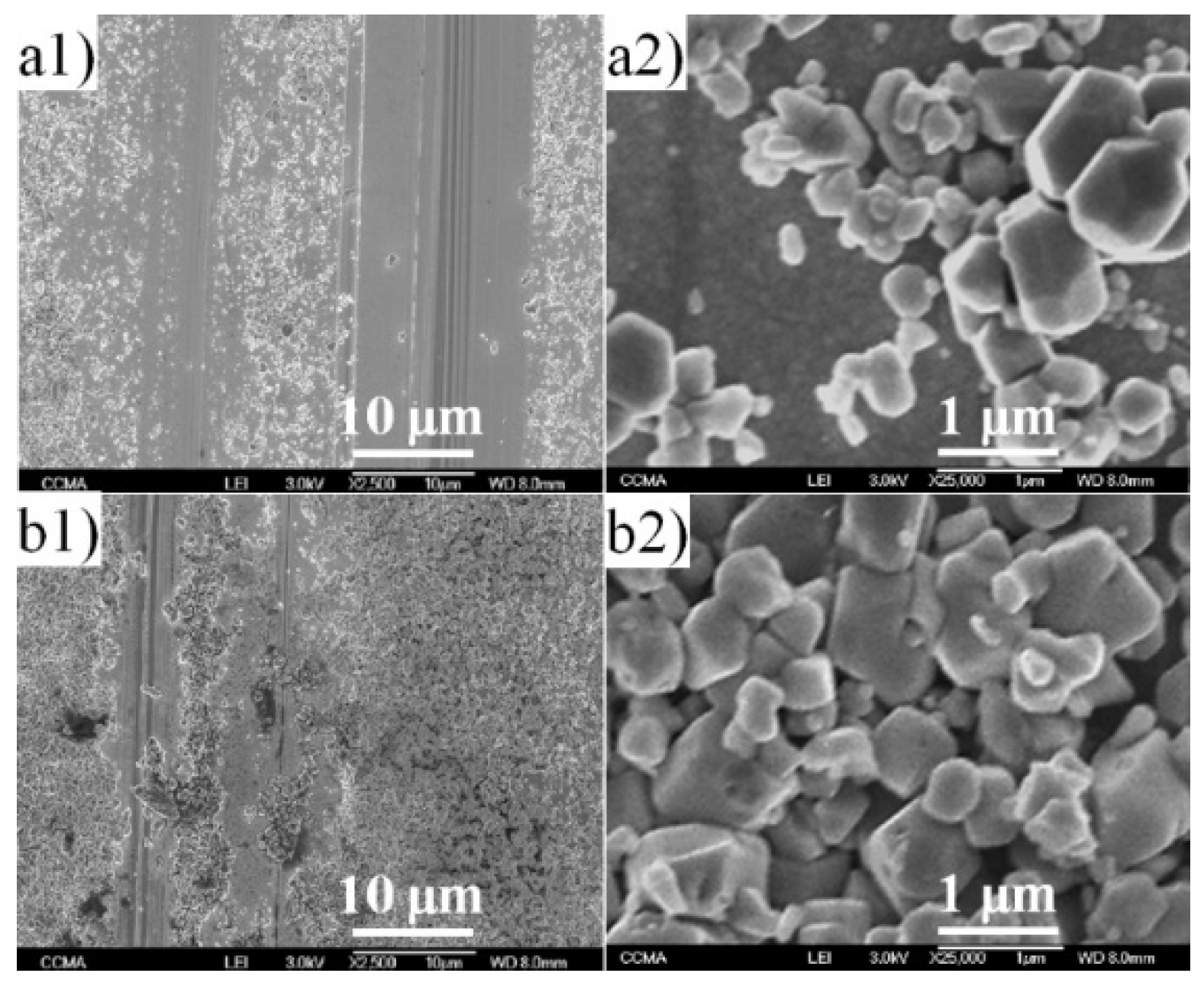Coatings 12 01260 g013 550