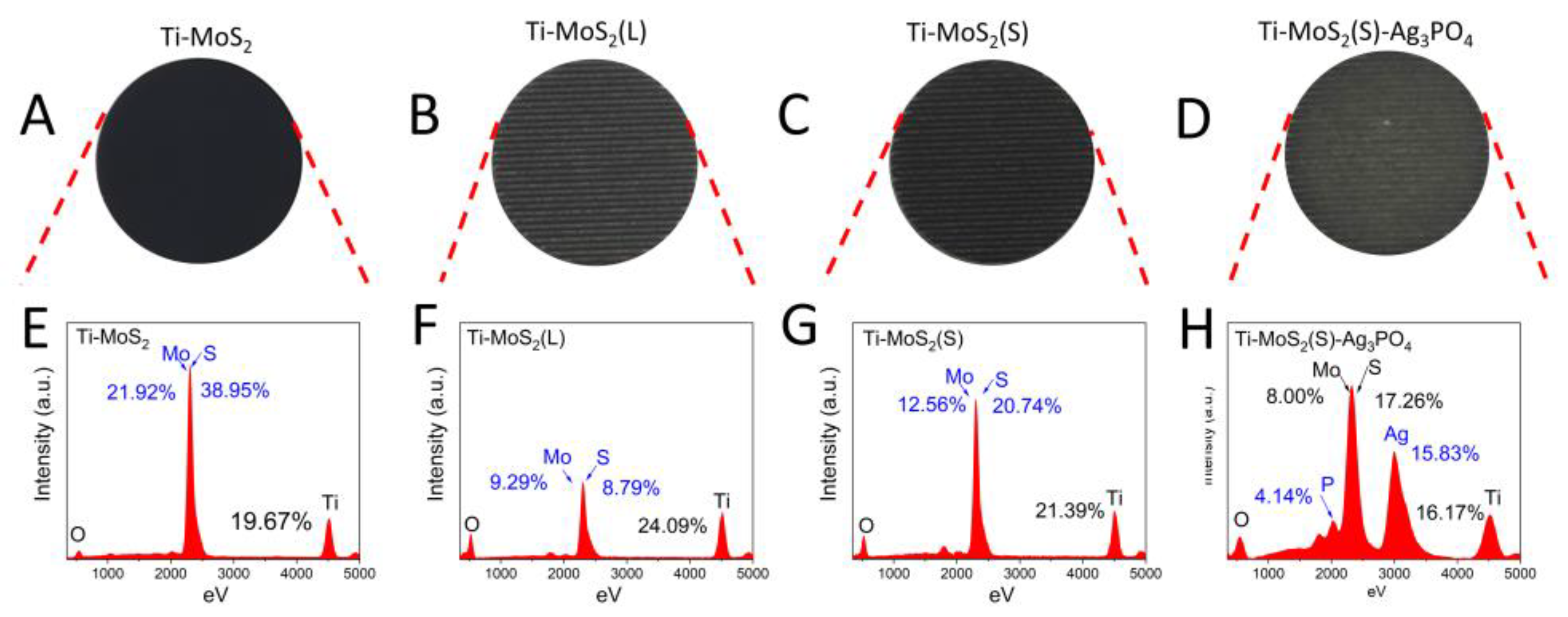 Coatings 12 01263 g002