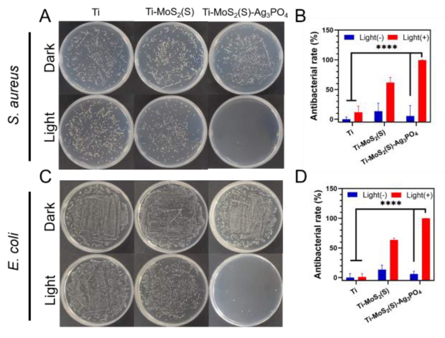 Coatings 12 01263 g007