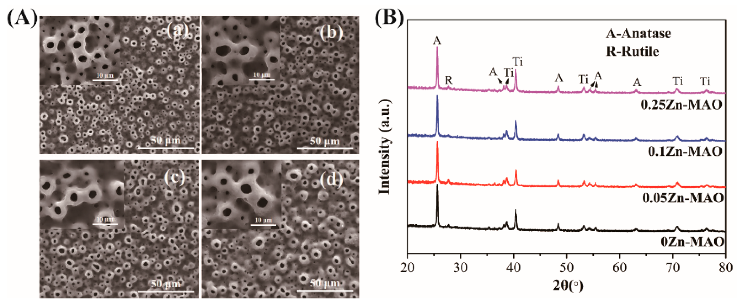 Coatings 12 01264 g001