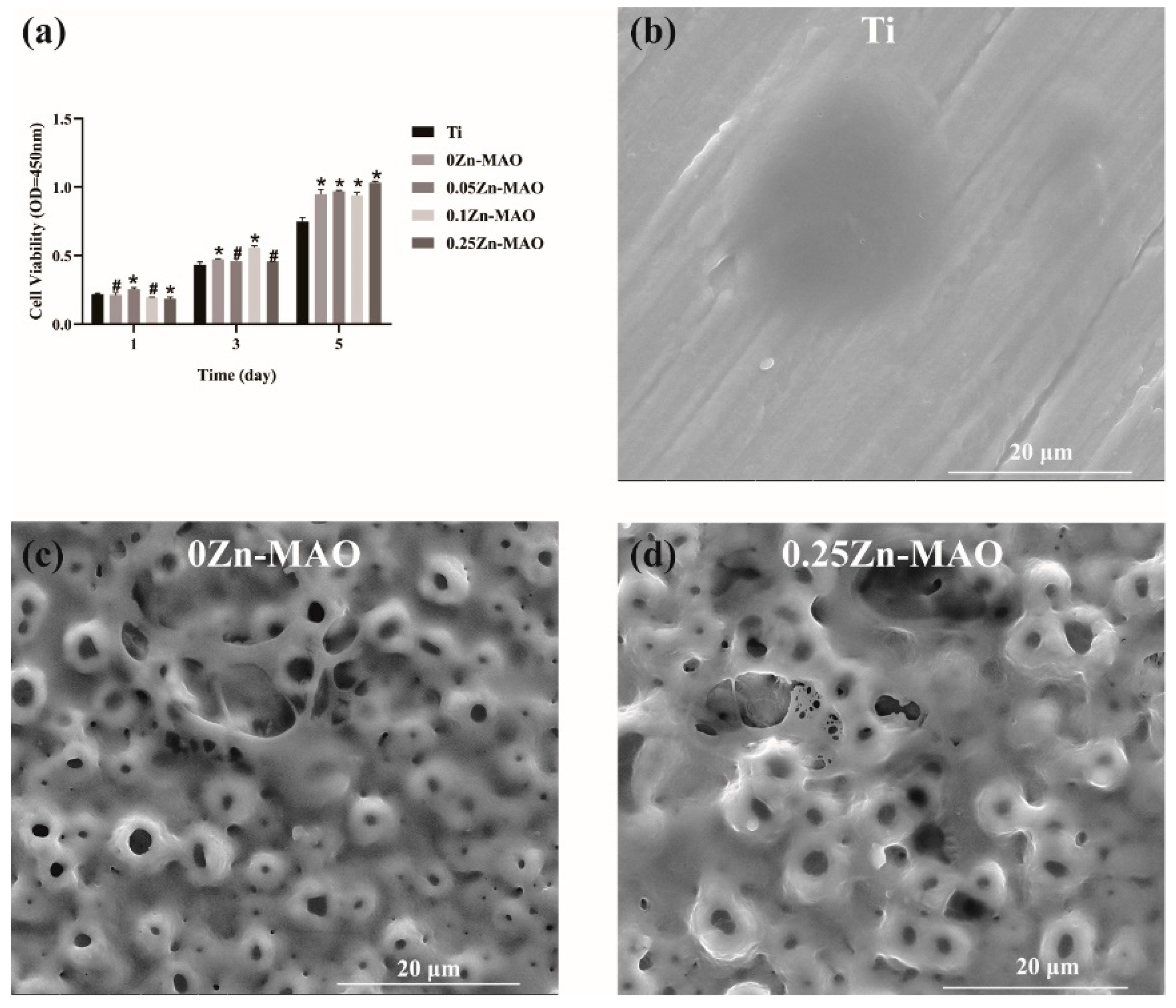 Coatings 12 01264 g005