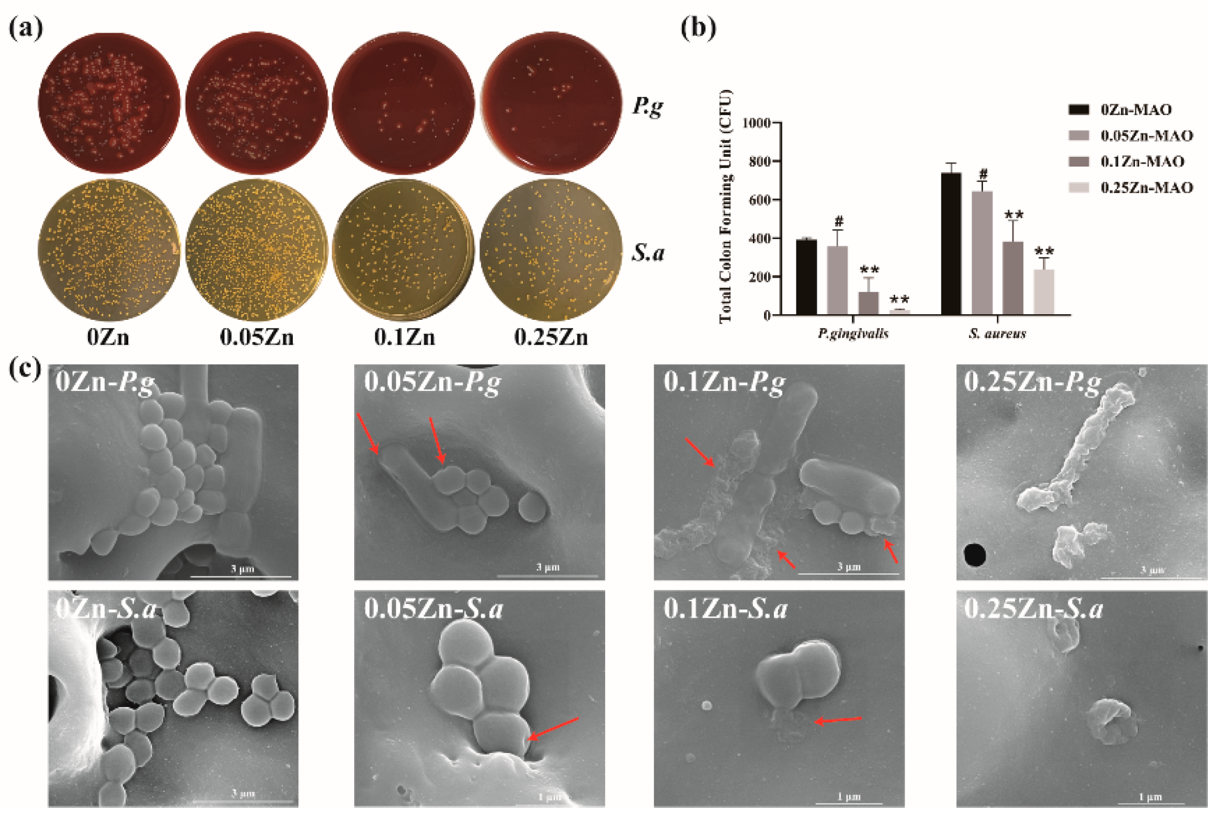 Coatings 12 01264 g006