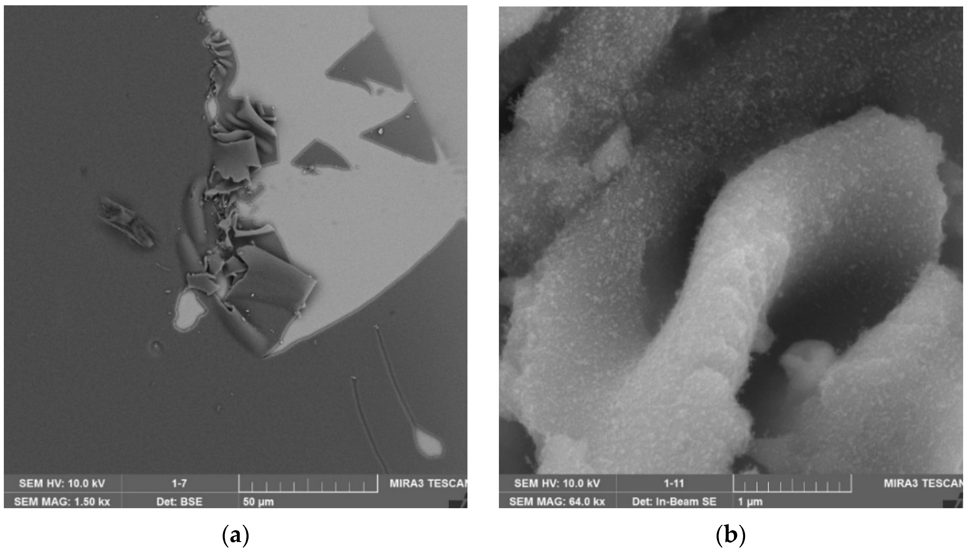 Coatings 12 01267 g015 Coatings 12 01267 g015
