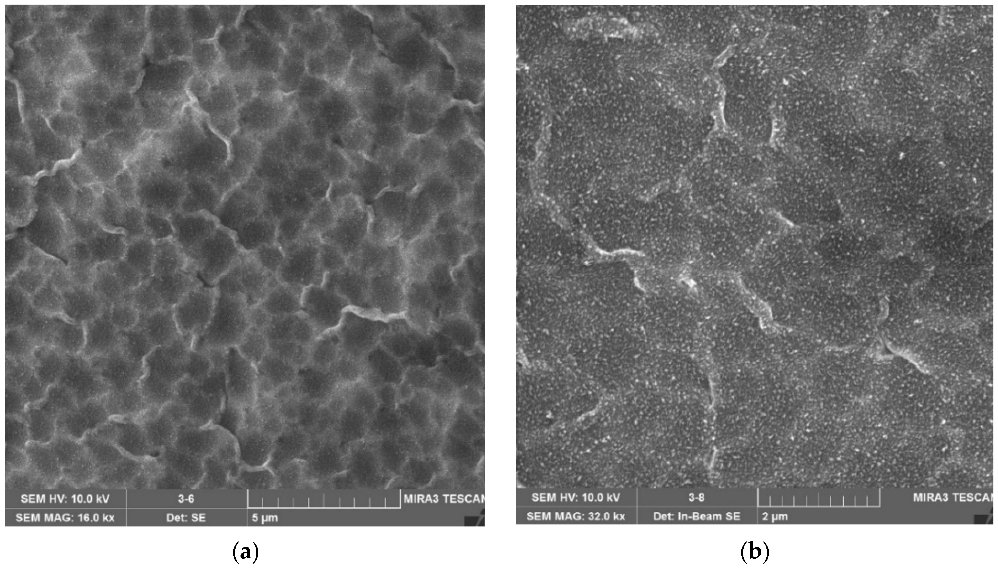 Coatings 12 01267 g016 Coatings 12 01267 g016