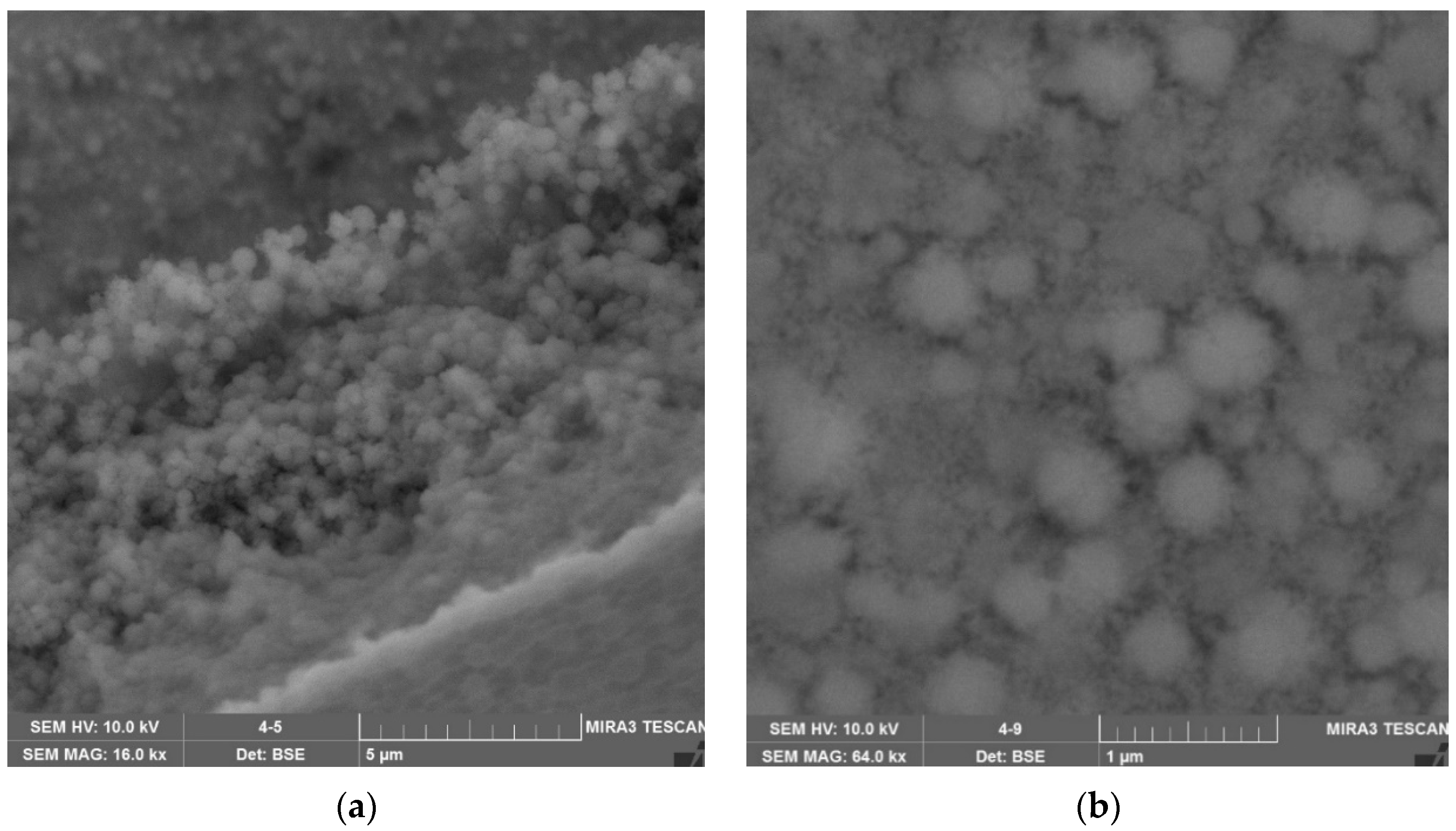 Coatings 12 01267 g017 Coatings 12 01267 g017