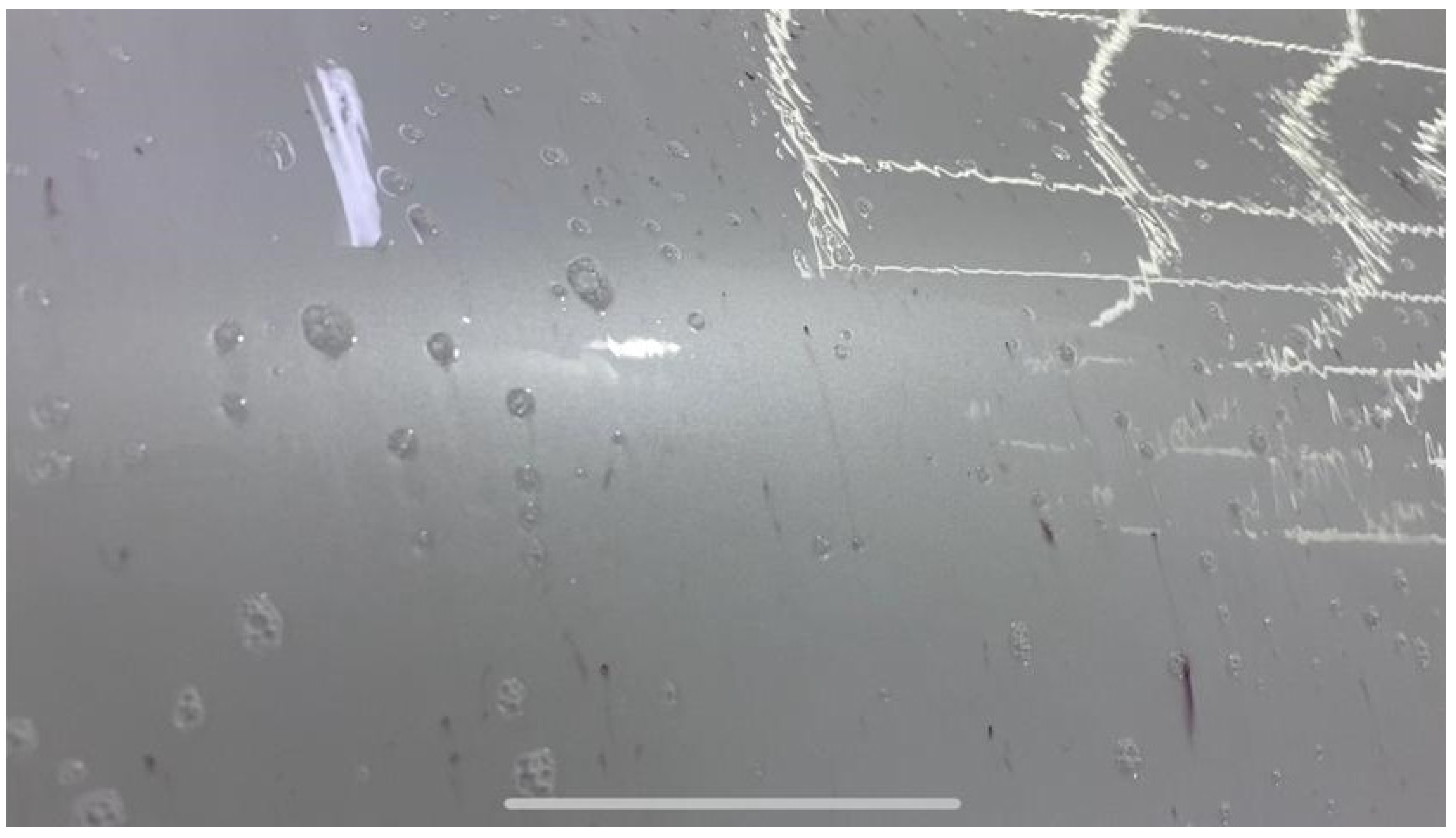 Coatings 12 01267 g024 Coatings 12 01267 g024