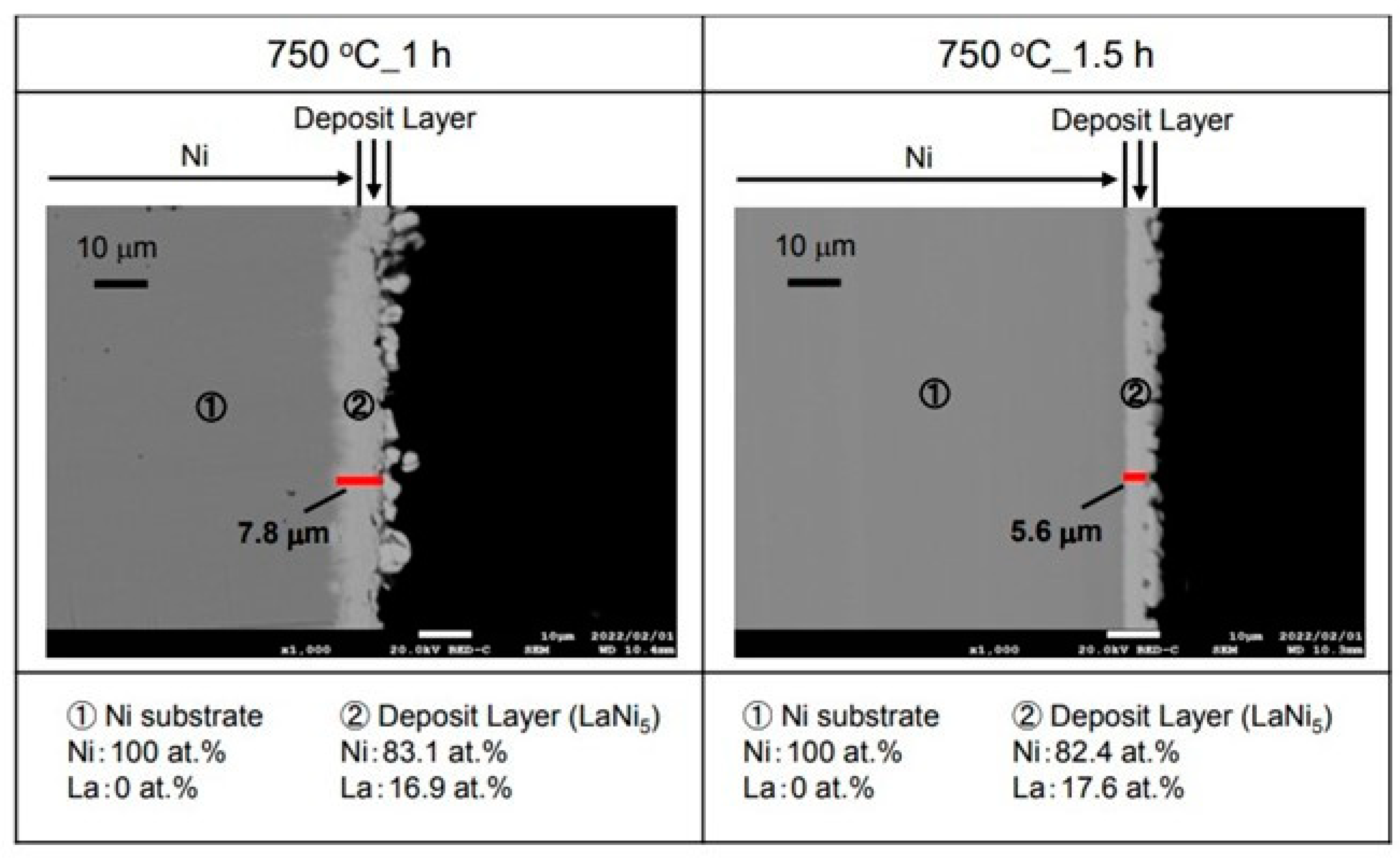 Coatings 12 01268 g004 550
