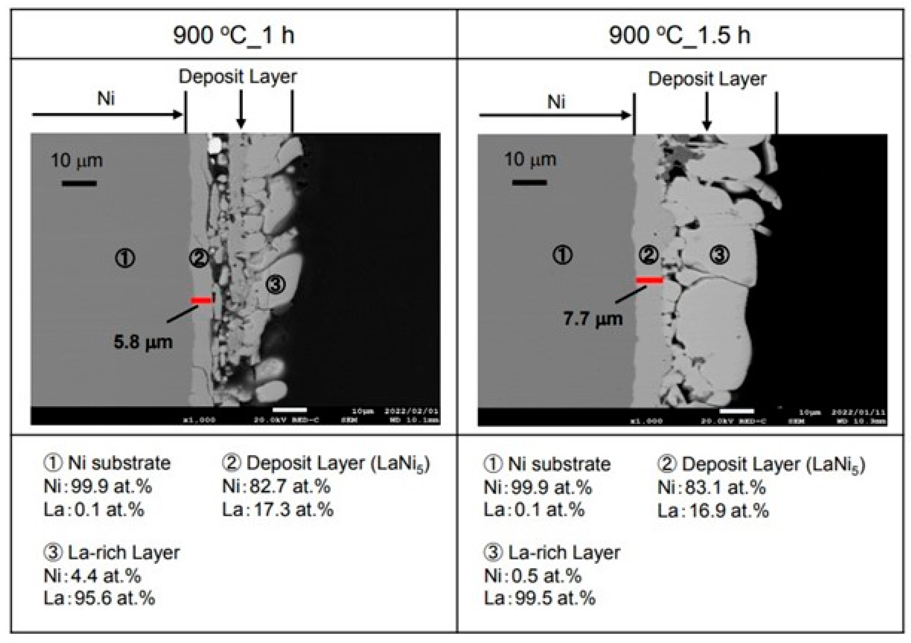 Coatings 12 01268 g005 550