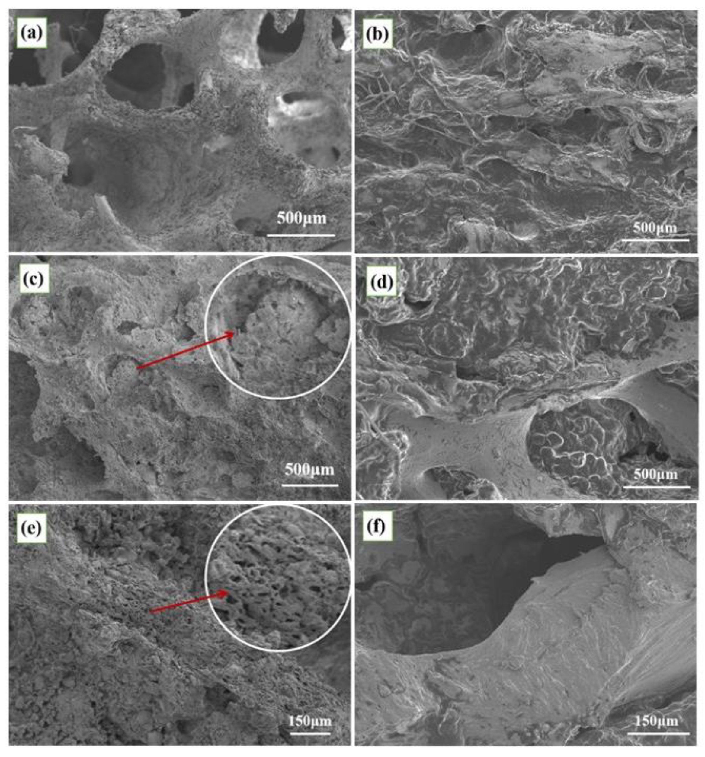 Coatings 12 01269 g004