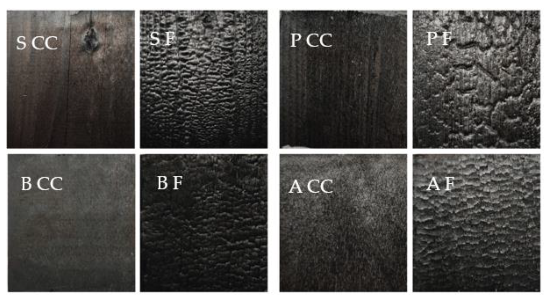 Coatings 12 01273 g001
