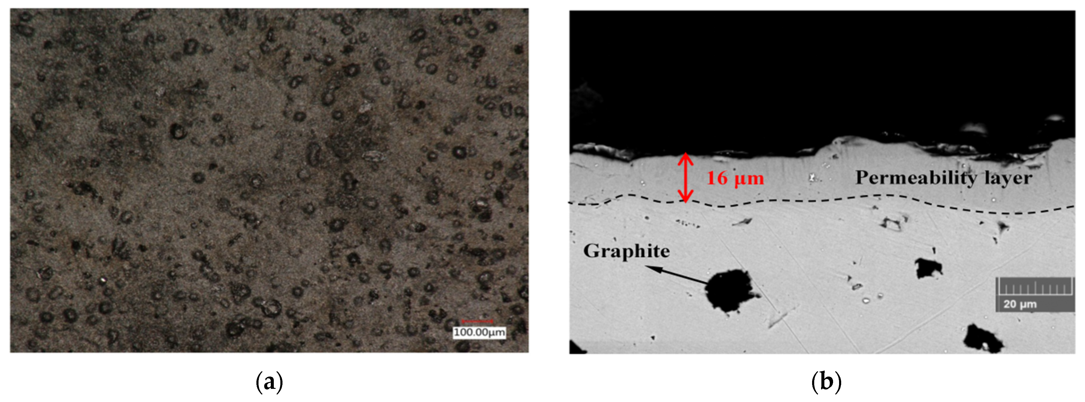 Coatings 12 01275 g002a