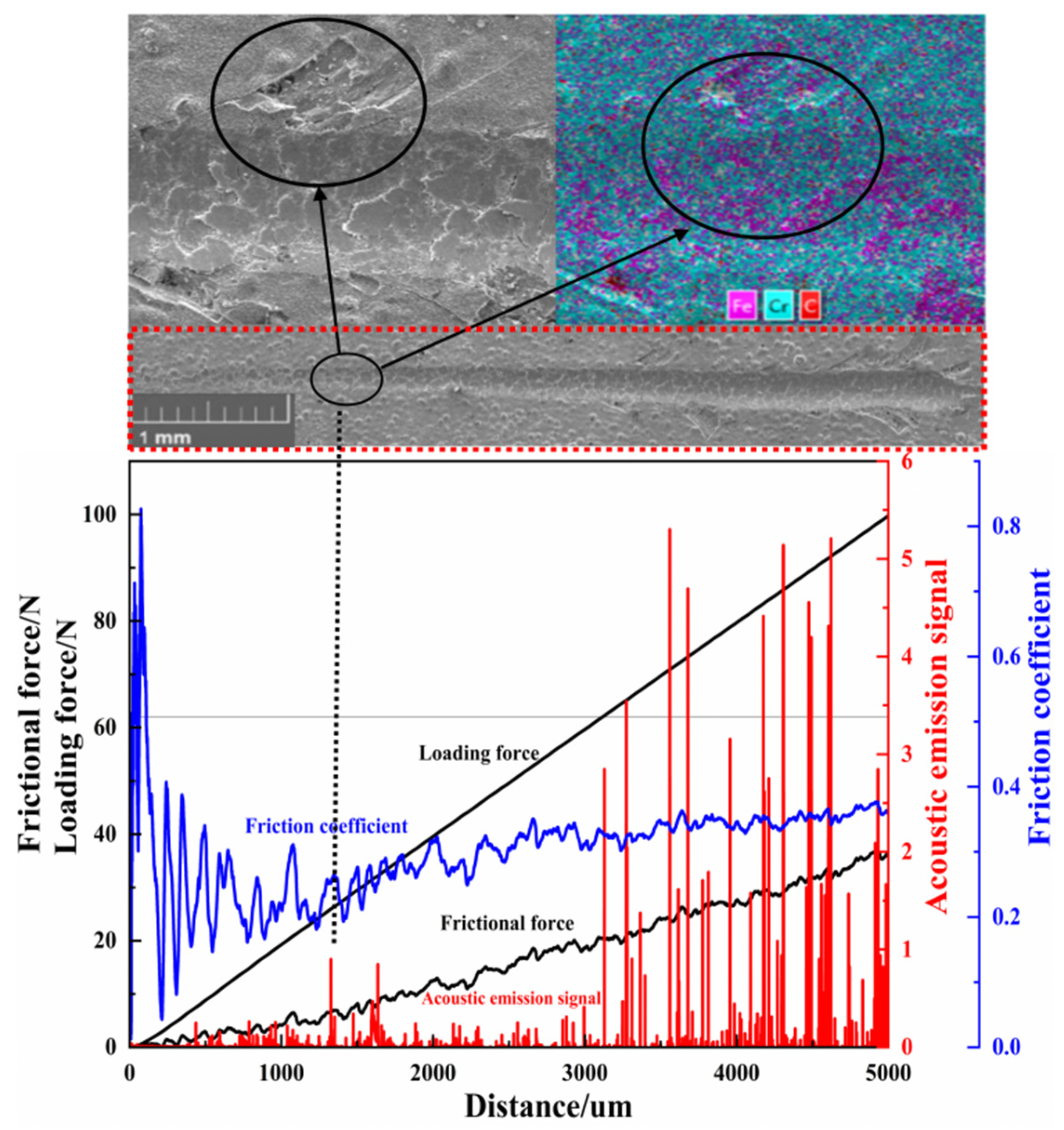Coatings 12 01275 g006