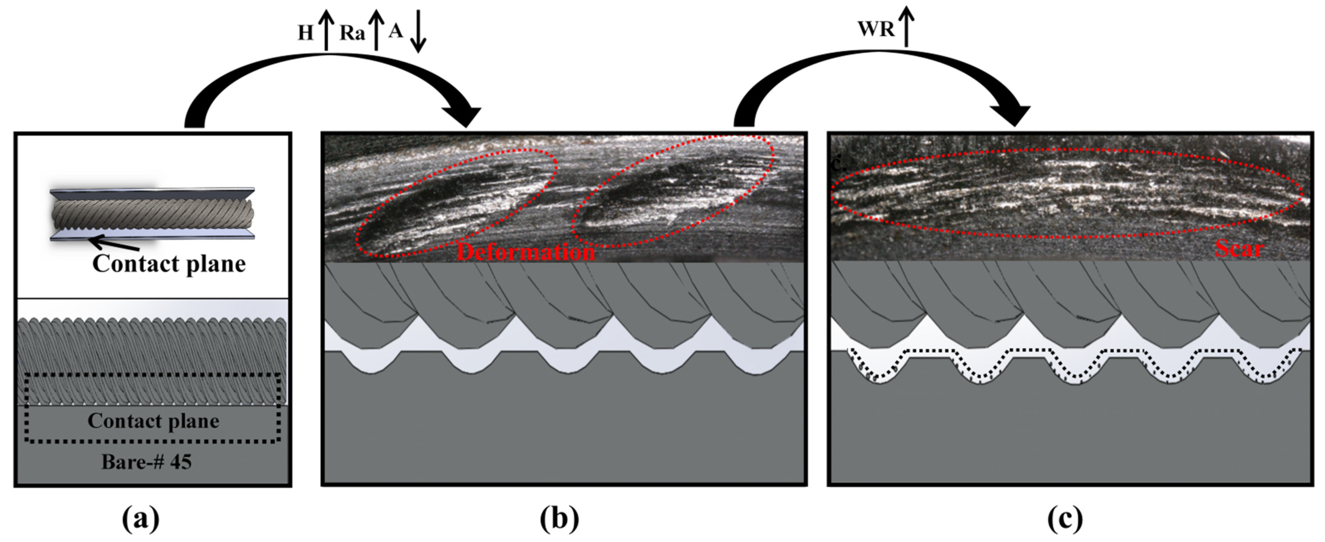 Coatings 12 01275 g013a