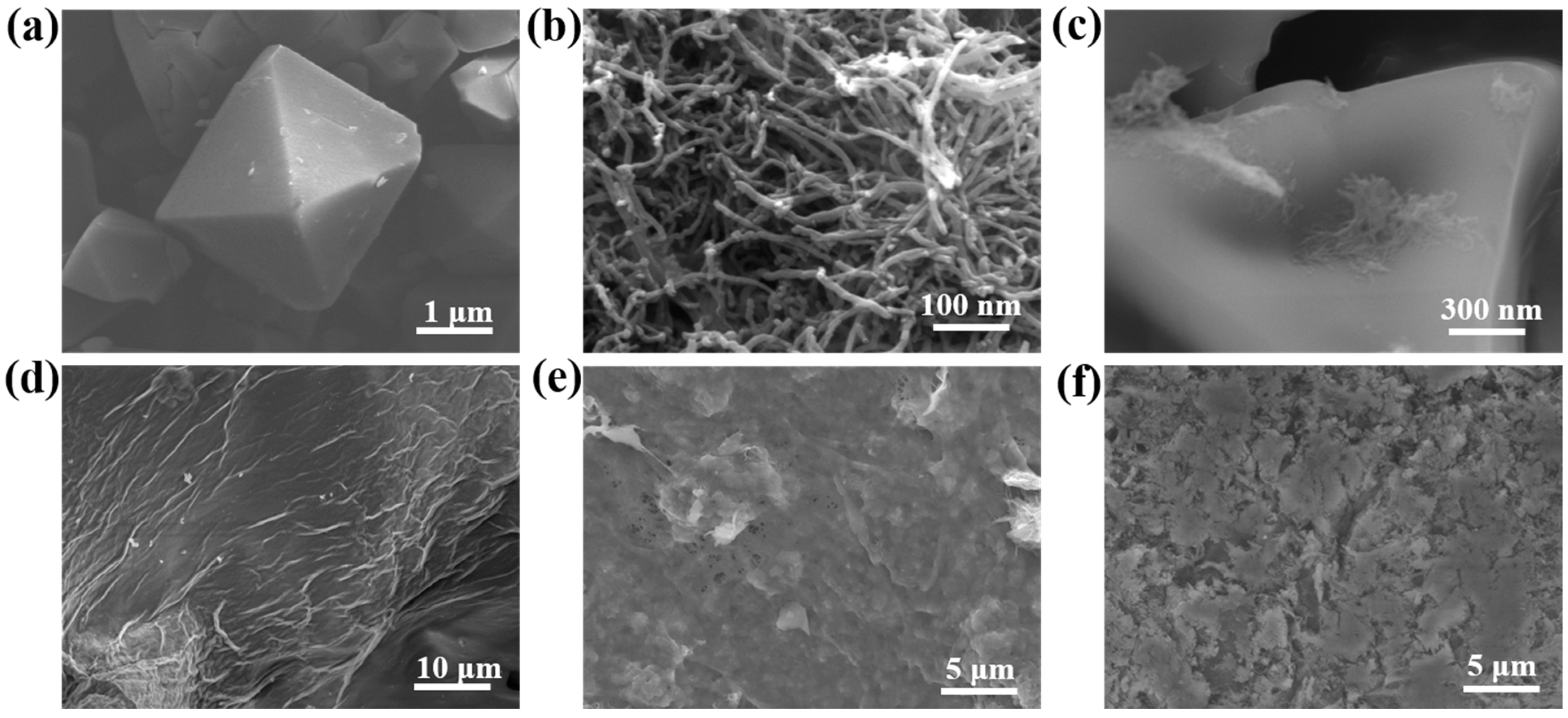 Coatings 12 01298 g002