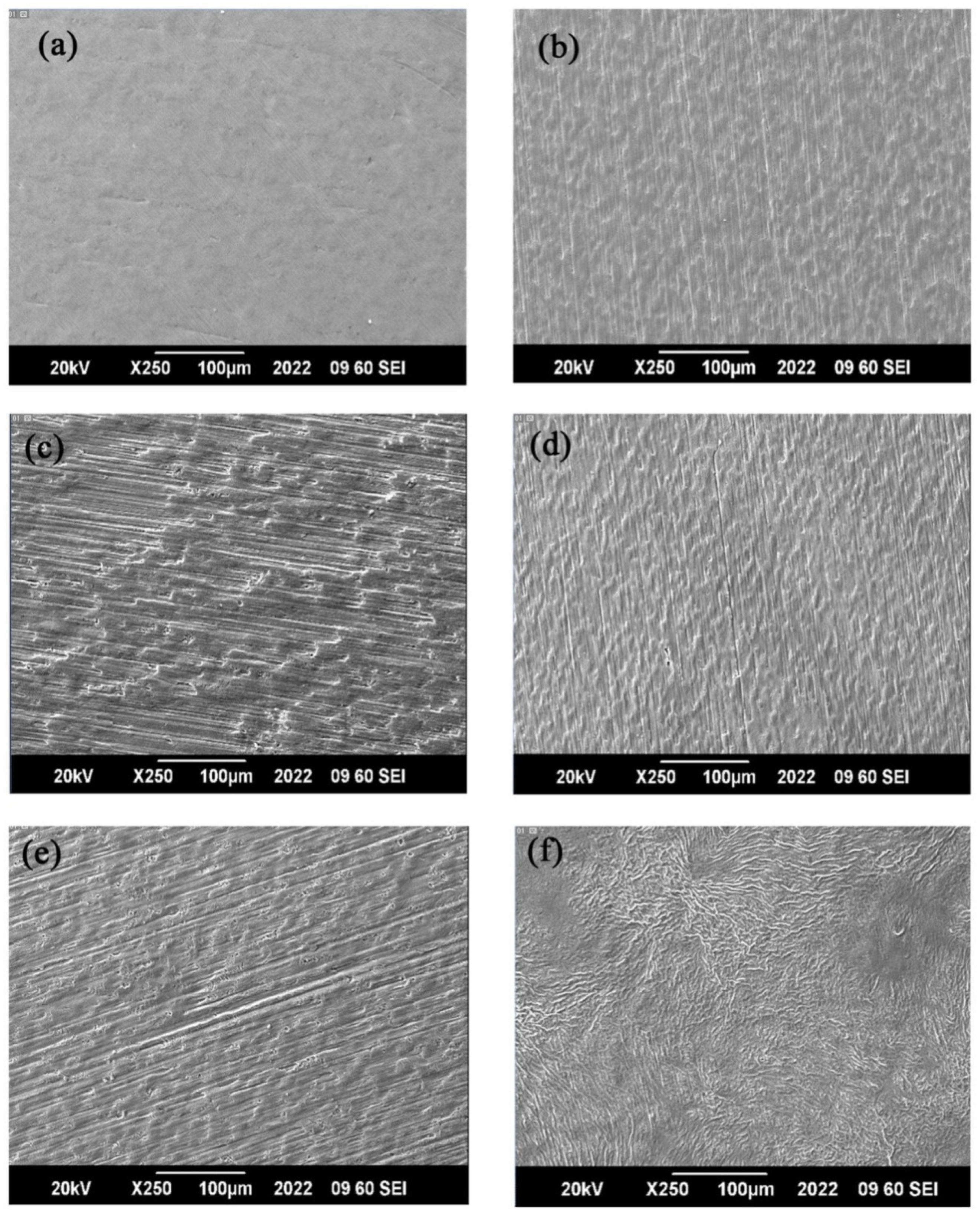 Coatings 12 01300 g005a
