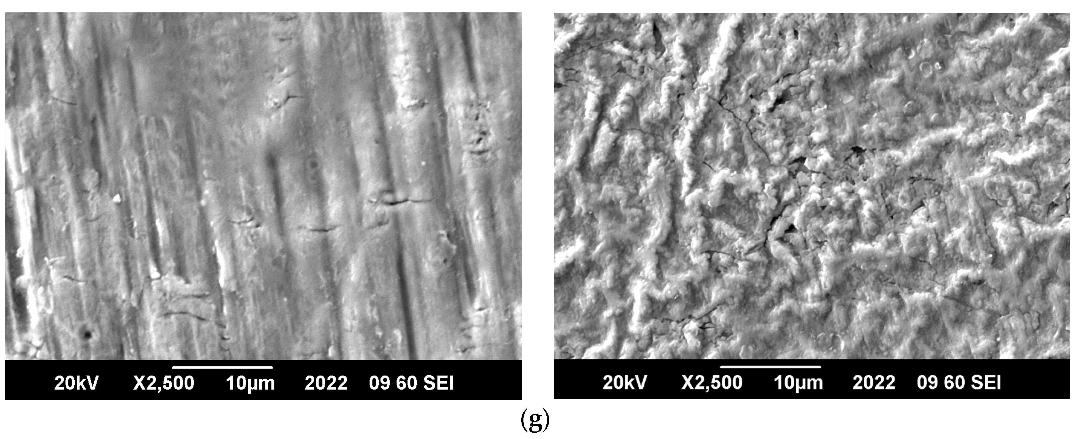 Coatings 12 01300 g005b