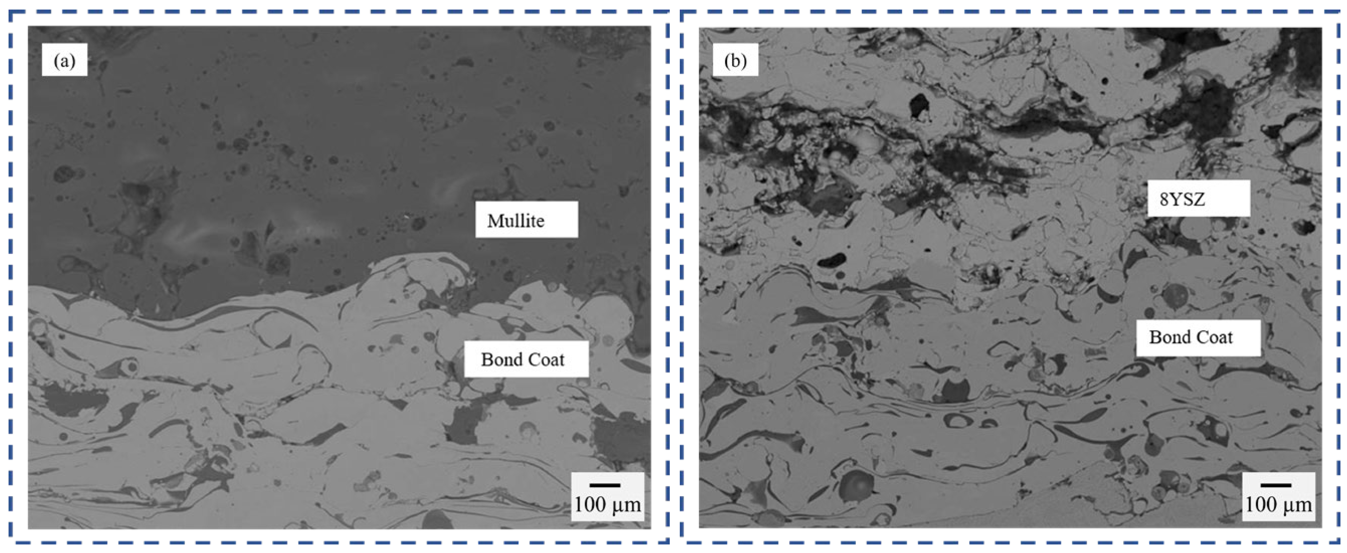 Coatings 12 01302 g001 550