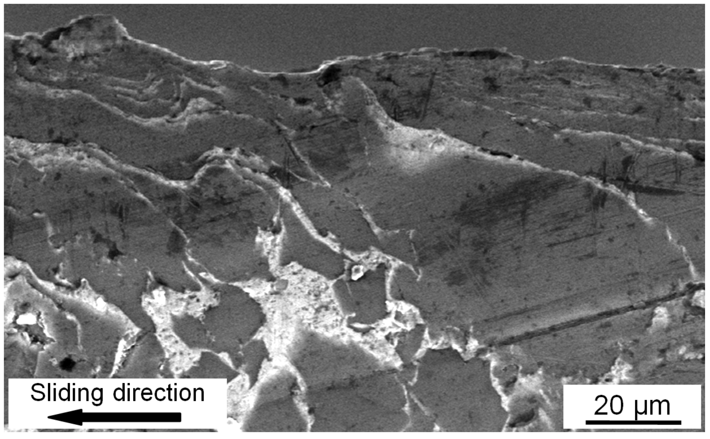 Coatings 12 01309 g007 550