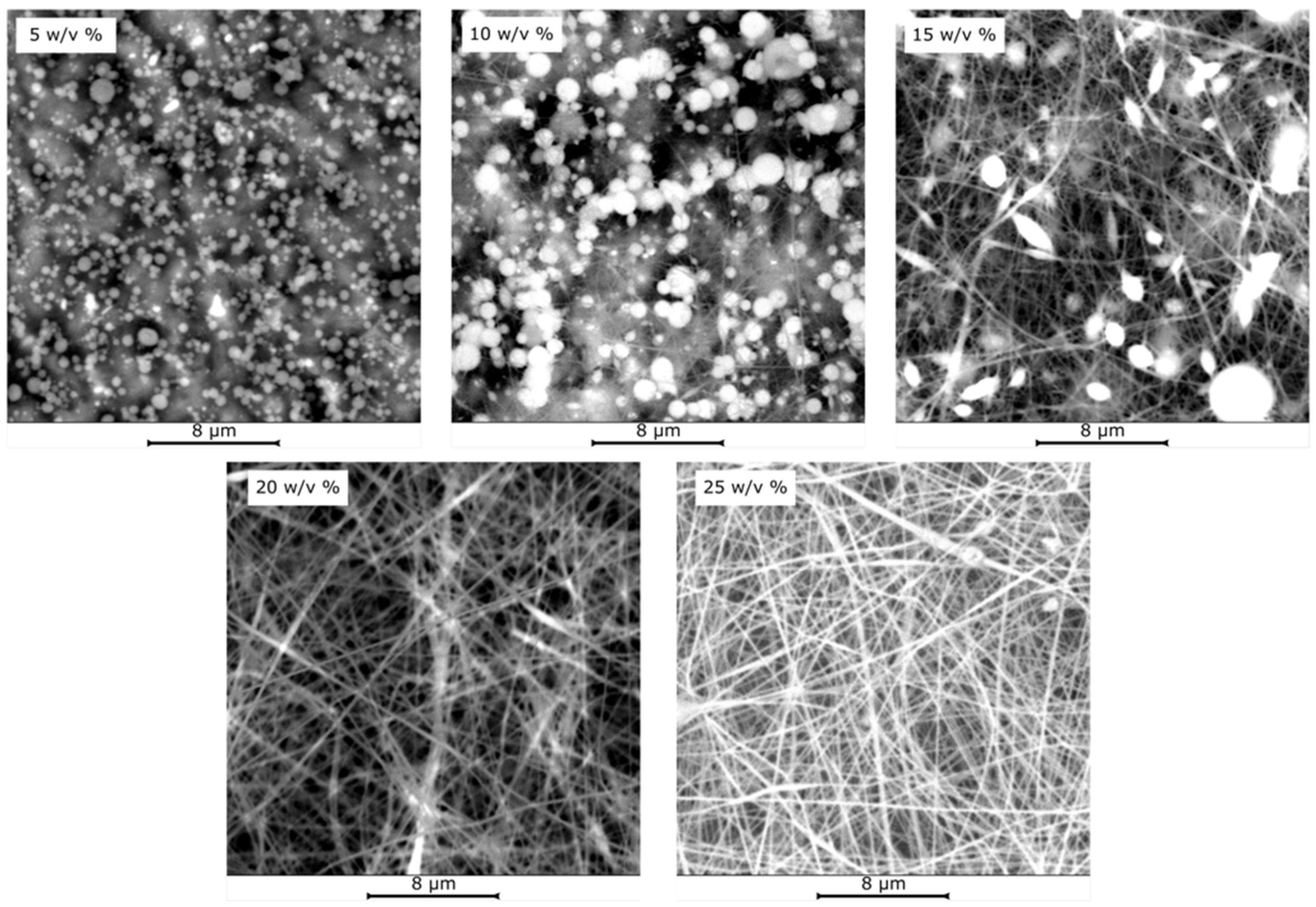 Coatings 12 01310 g003