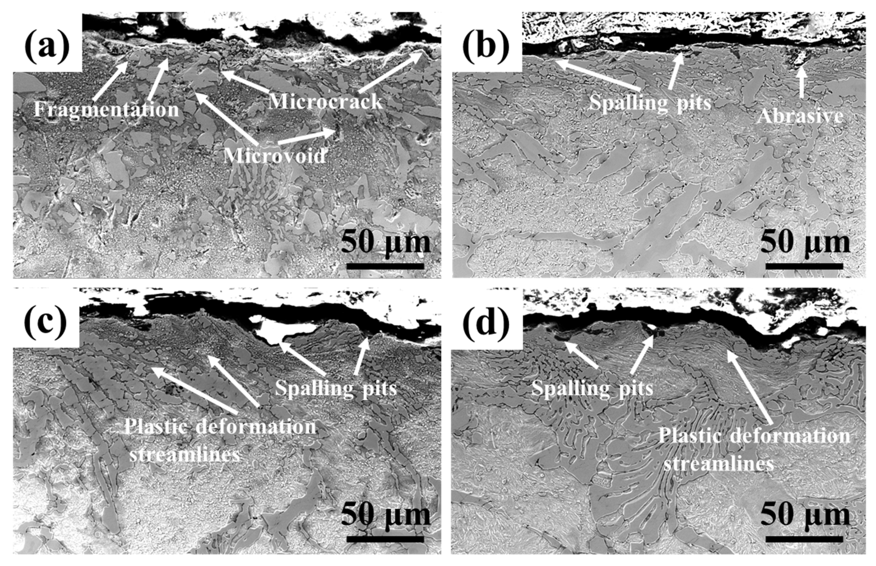 Coatings 12 01313 g012