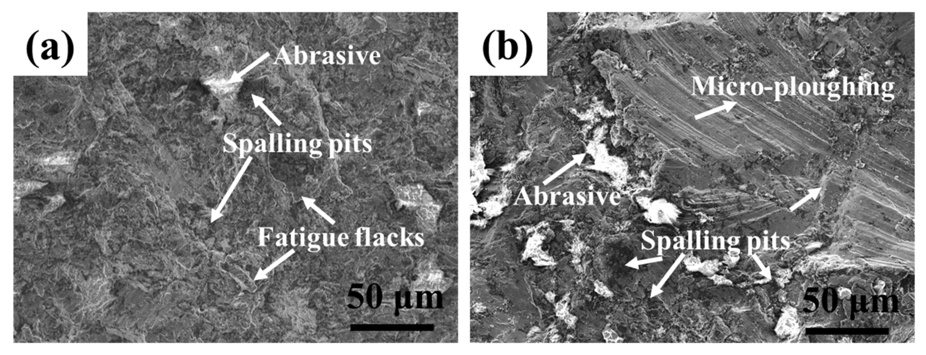 Coatings 12 01313 g013