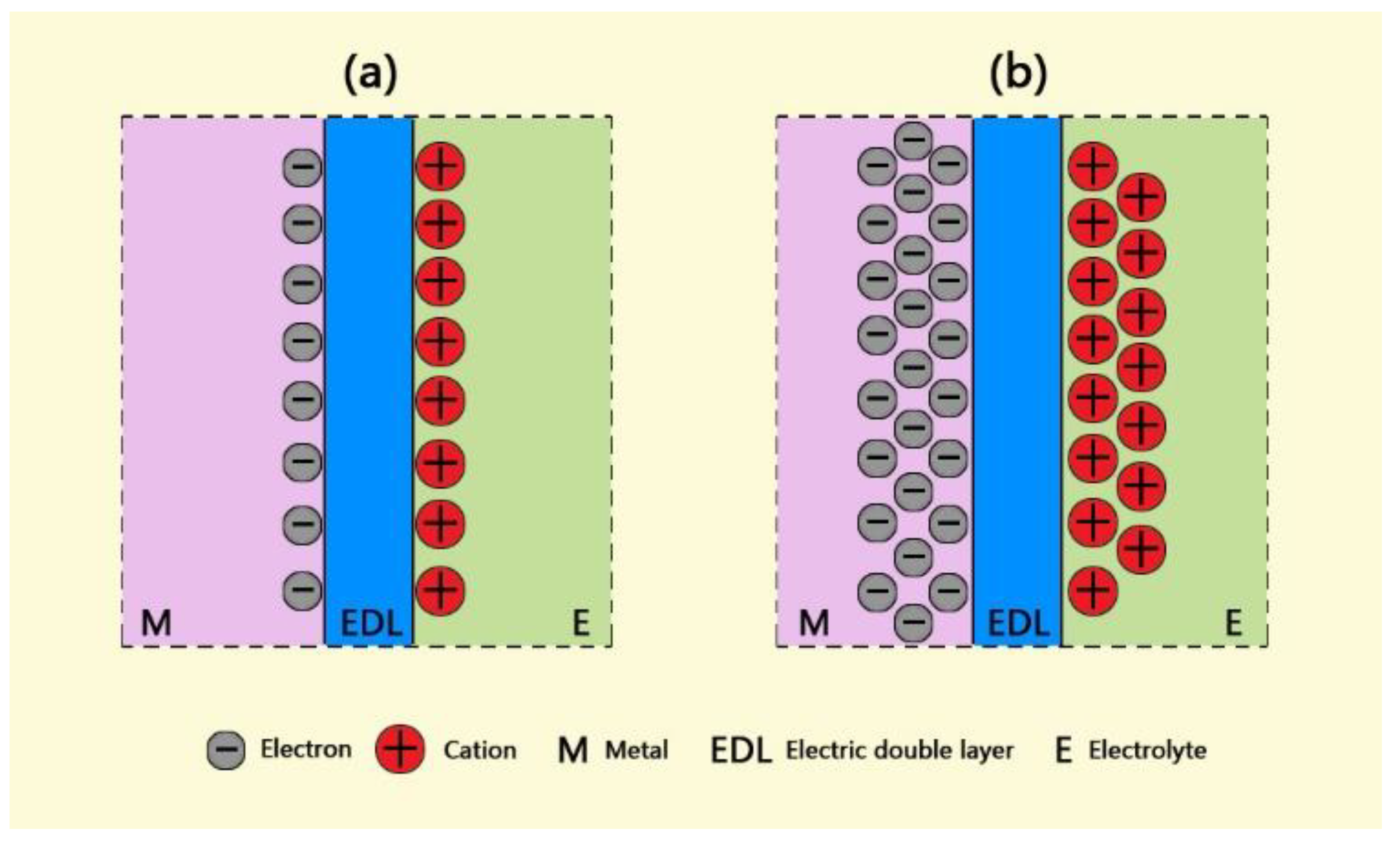 Coatings 12 01314 g008