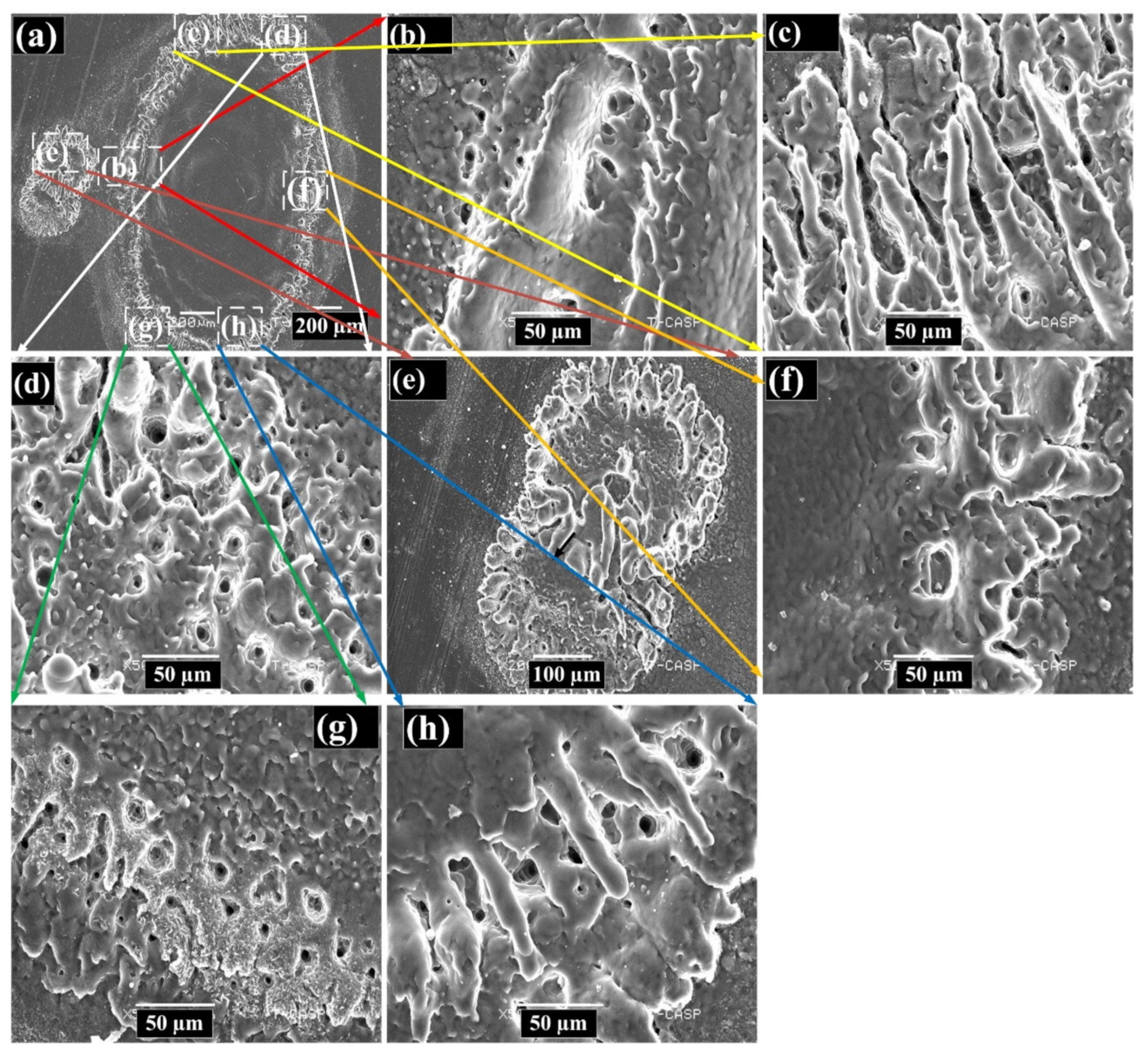 Coatings 12 01316 g010 550