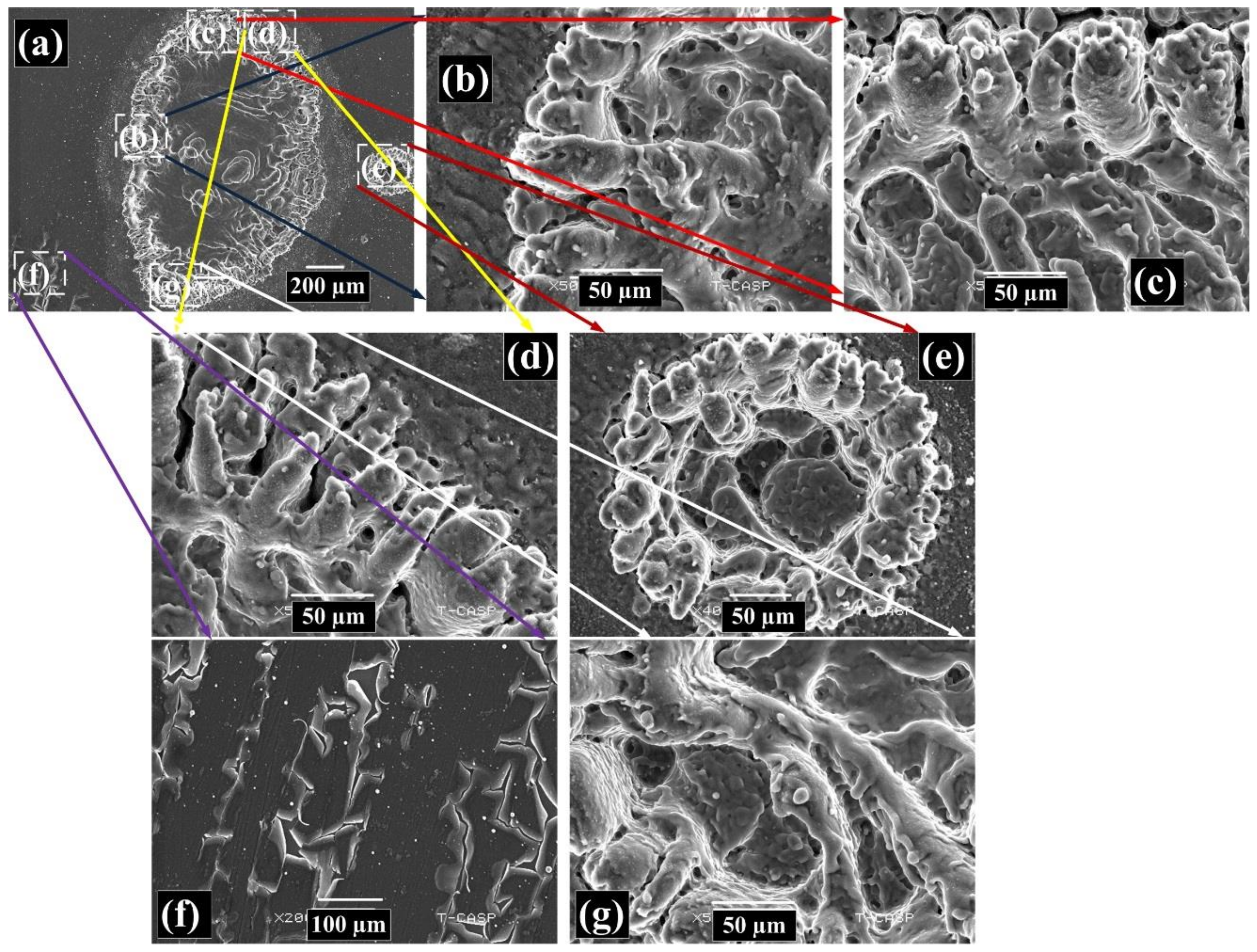 Coatings 12 01316 g013 550