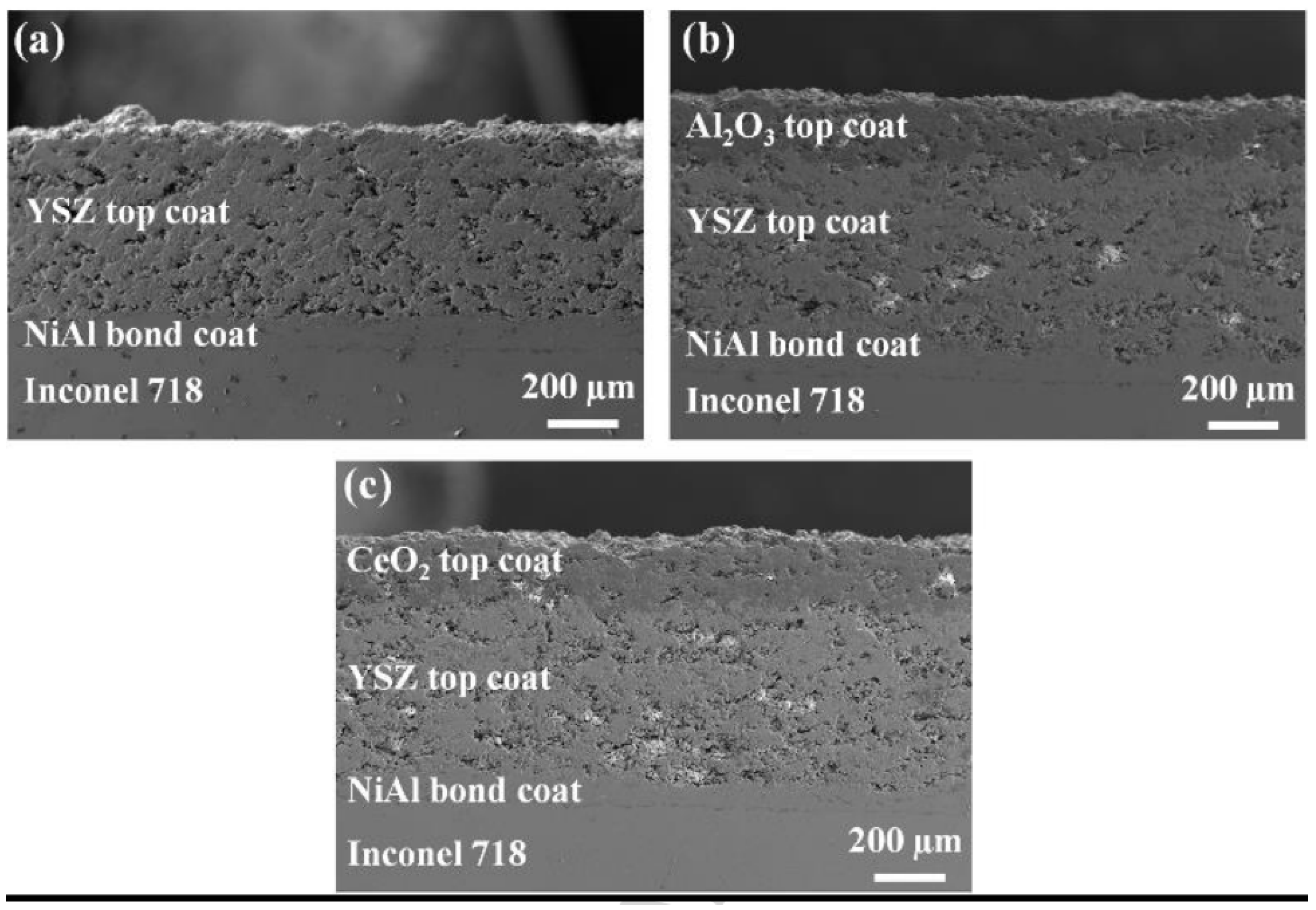 Coatings 12 01318 g007 550